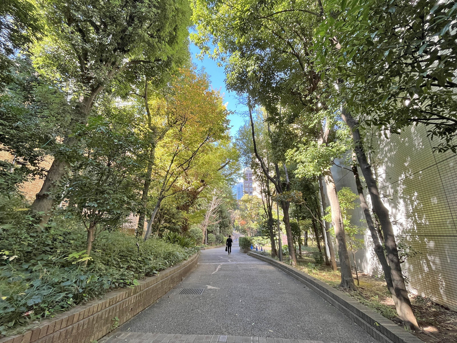 建物裏手の神谷町緑道
