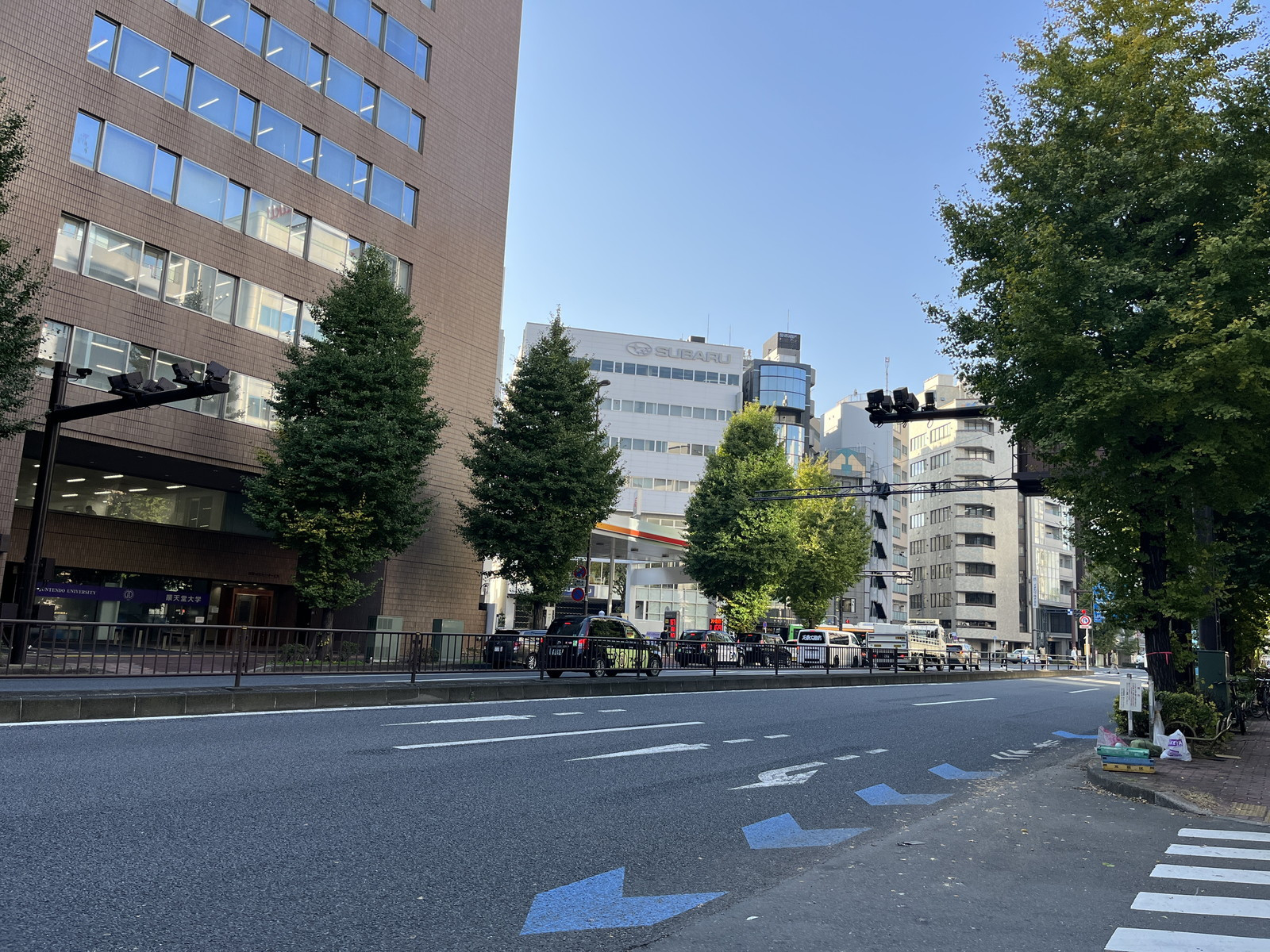 付近の本郷通り