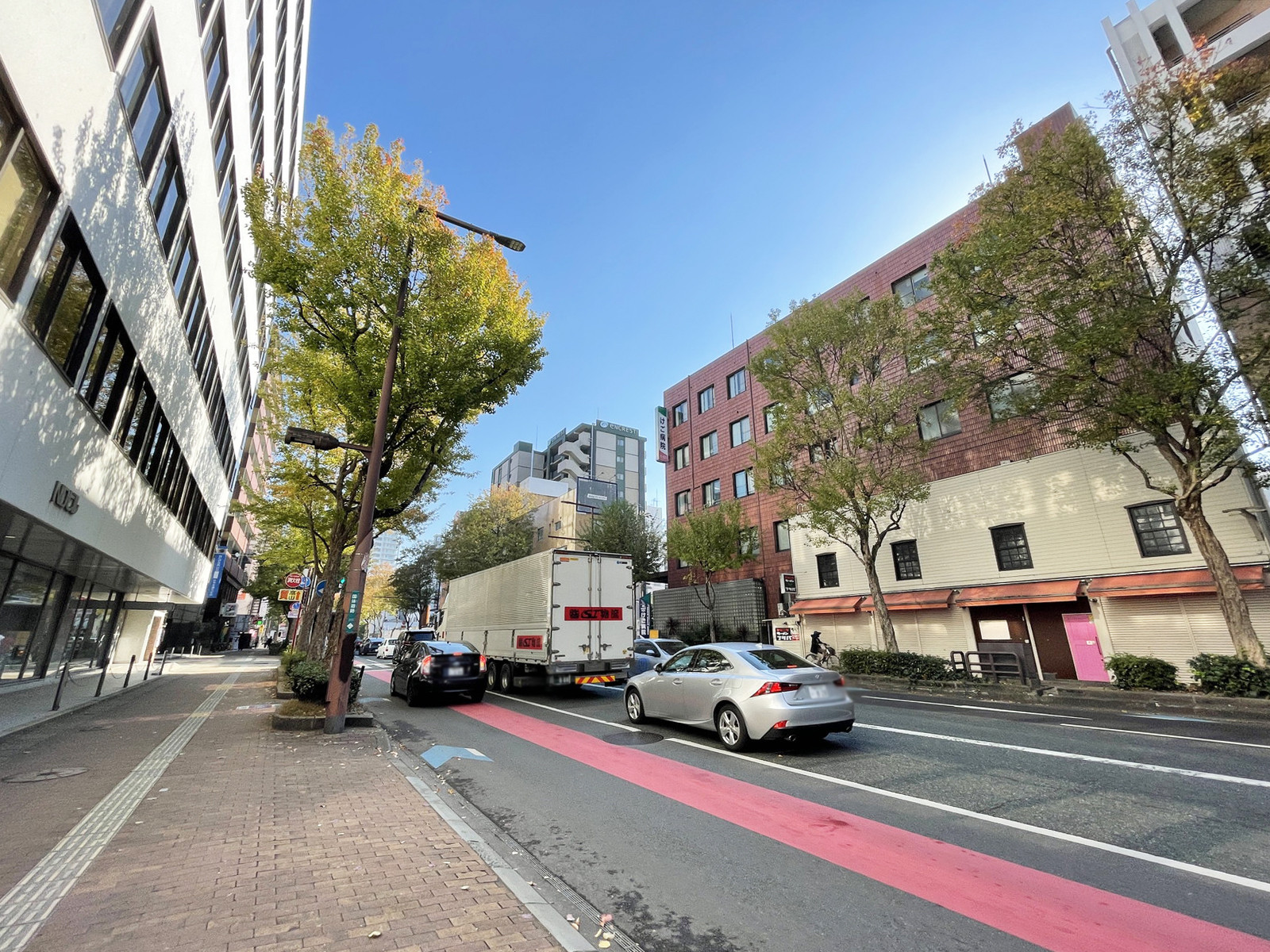 ビジネス・ワンけやき通りビル前面の国体道路