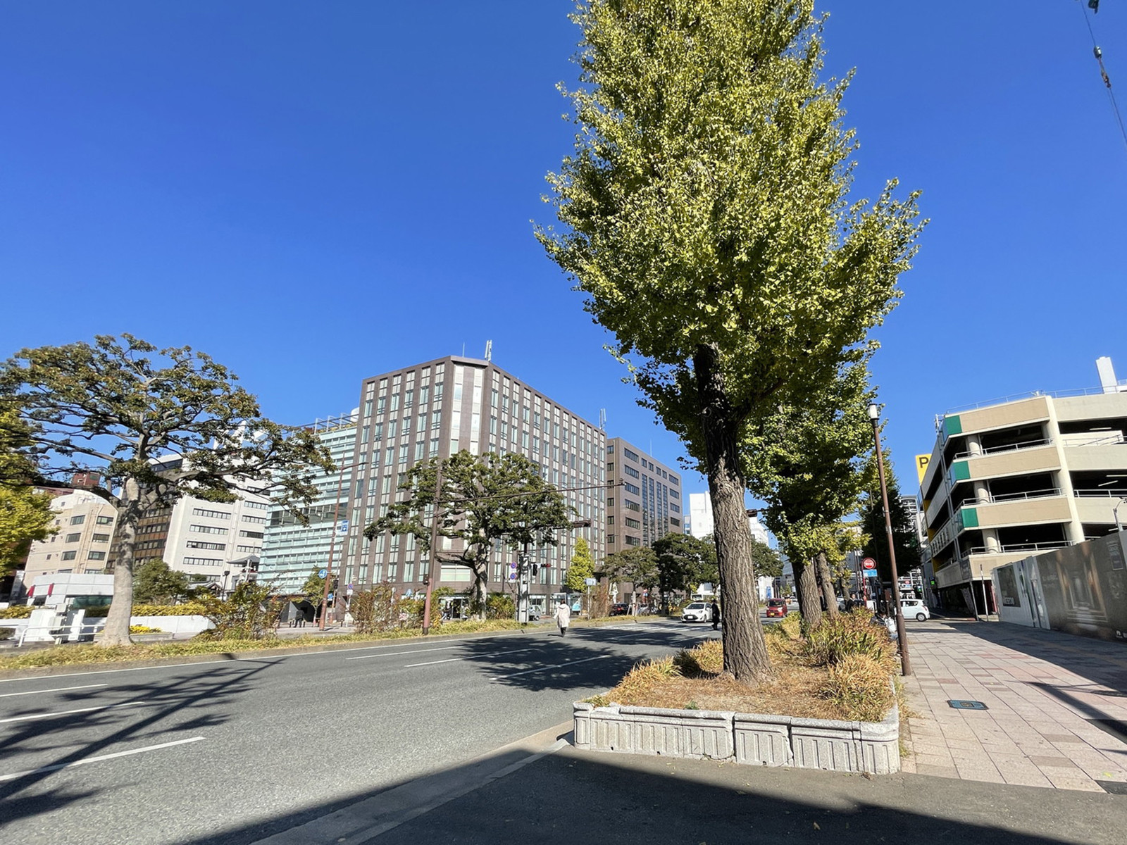 第7明星ビル前面の昭和通り