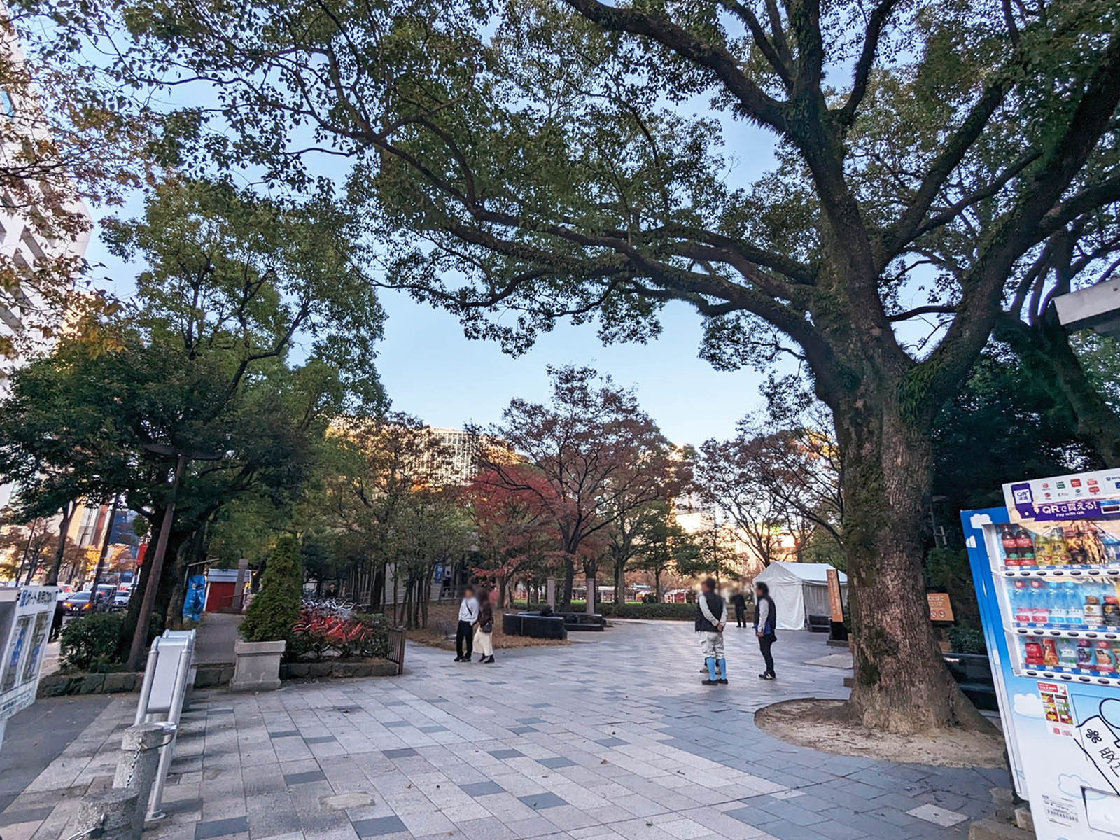 付近の天神中央公園
