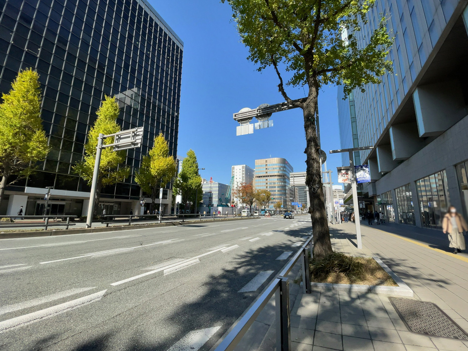 近くの住吉通り