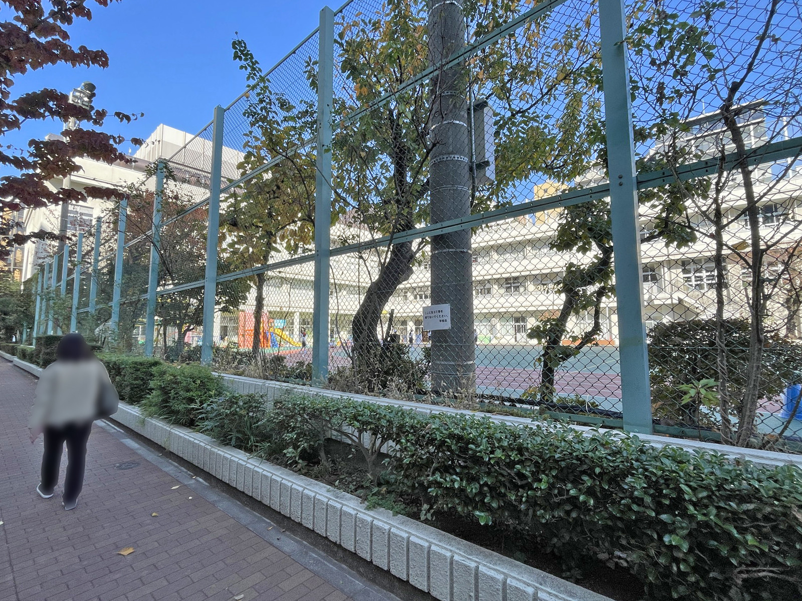 向かいには小学校