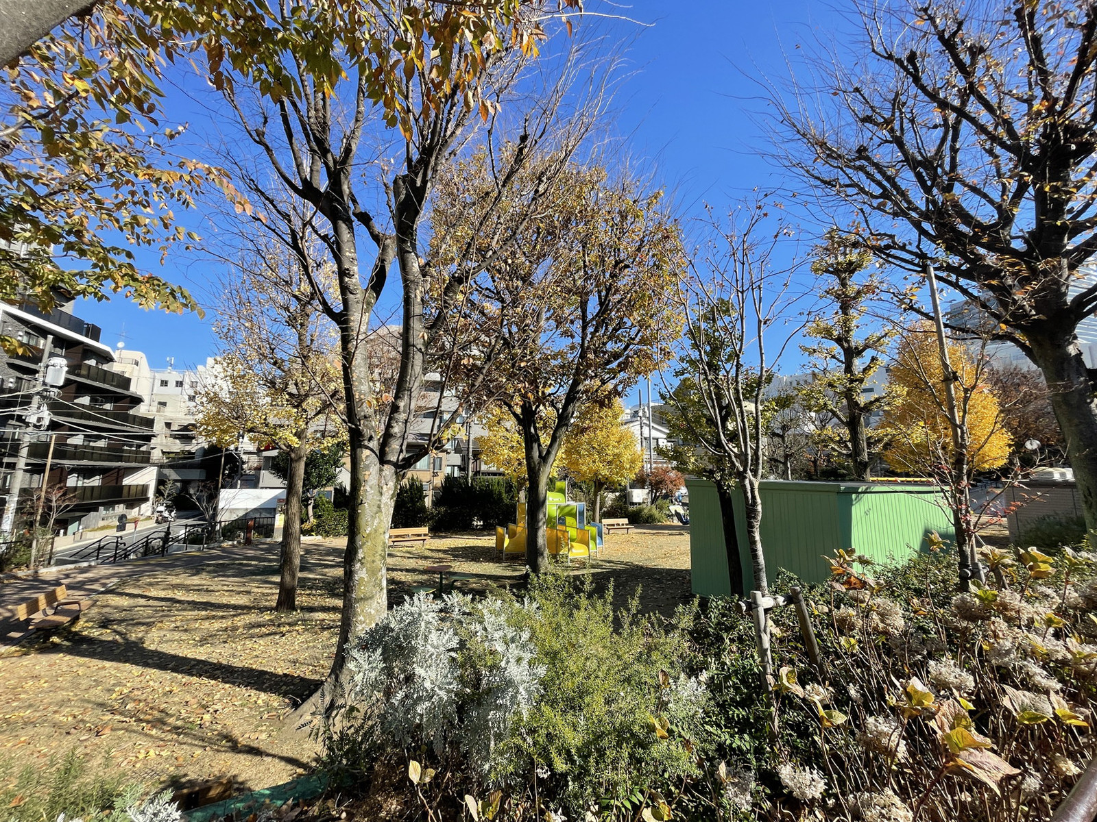 付近の恵比寿南二公園