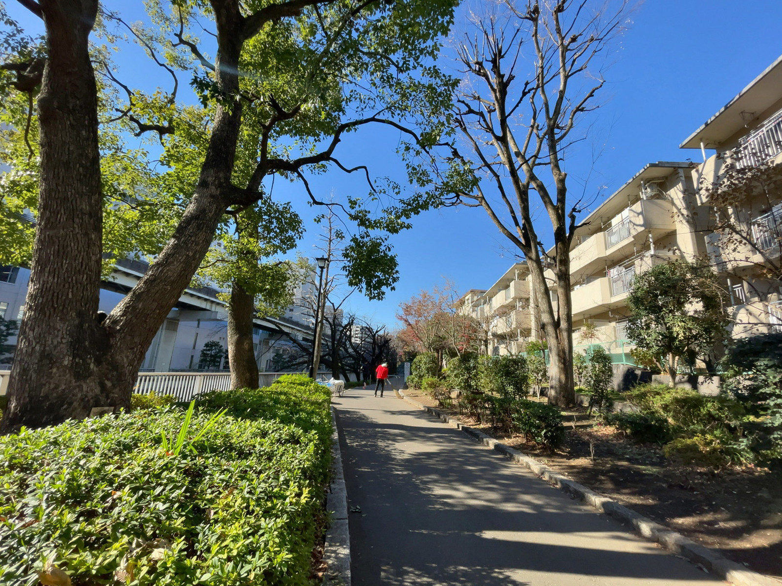 徒歩4分の文京区立江戸川公園