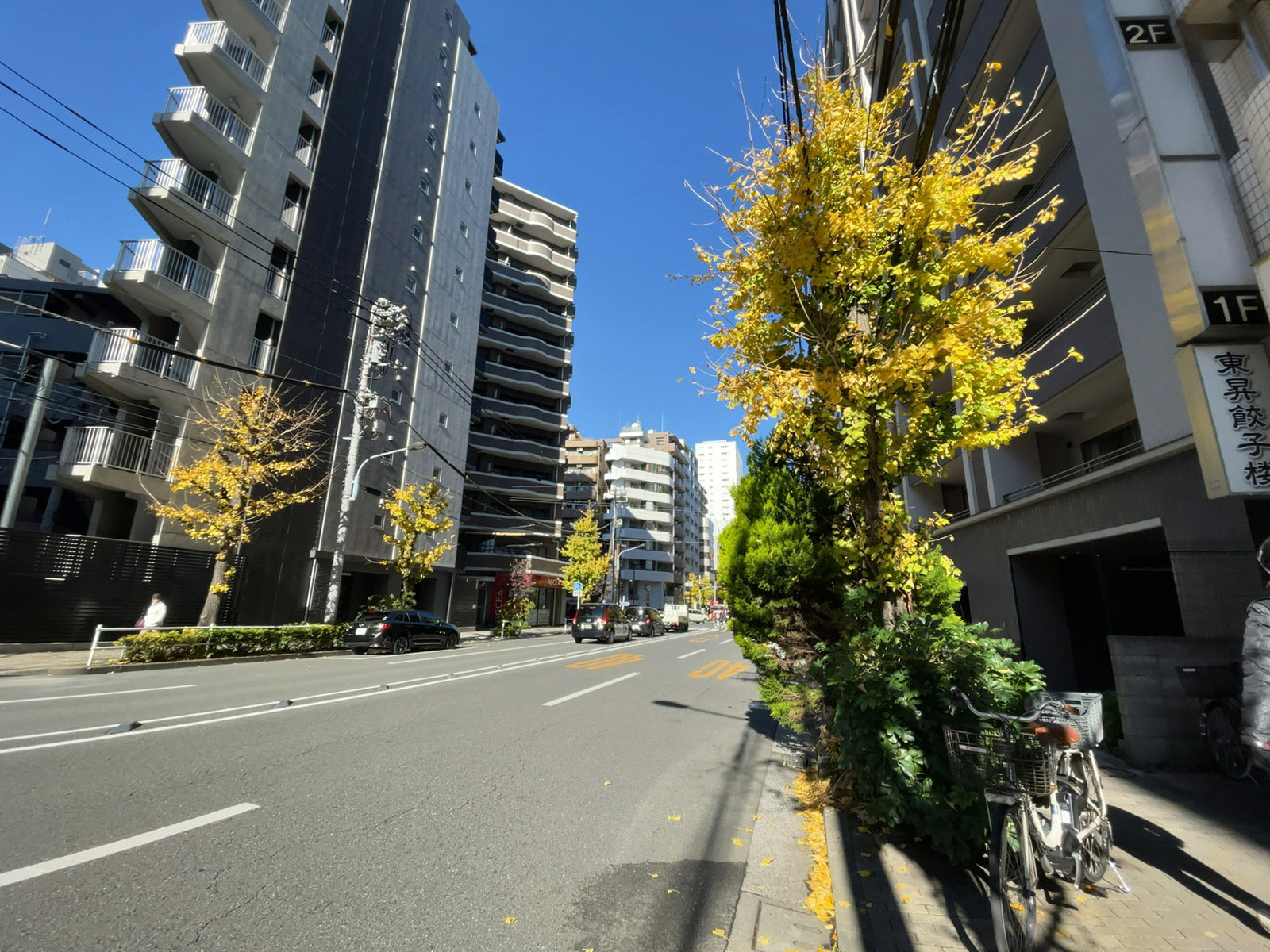 新宿山吹町ビル前面の通り