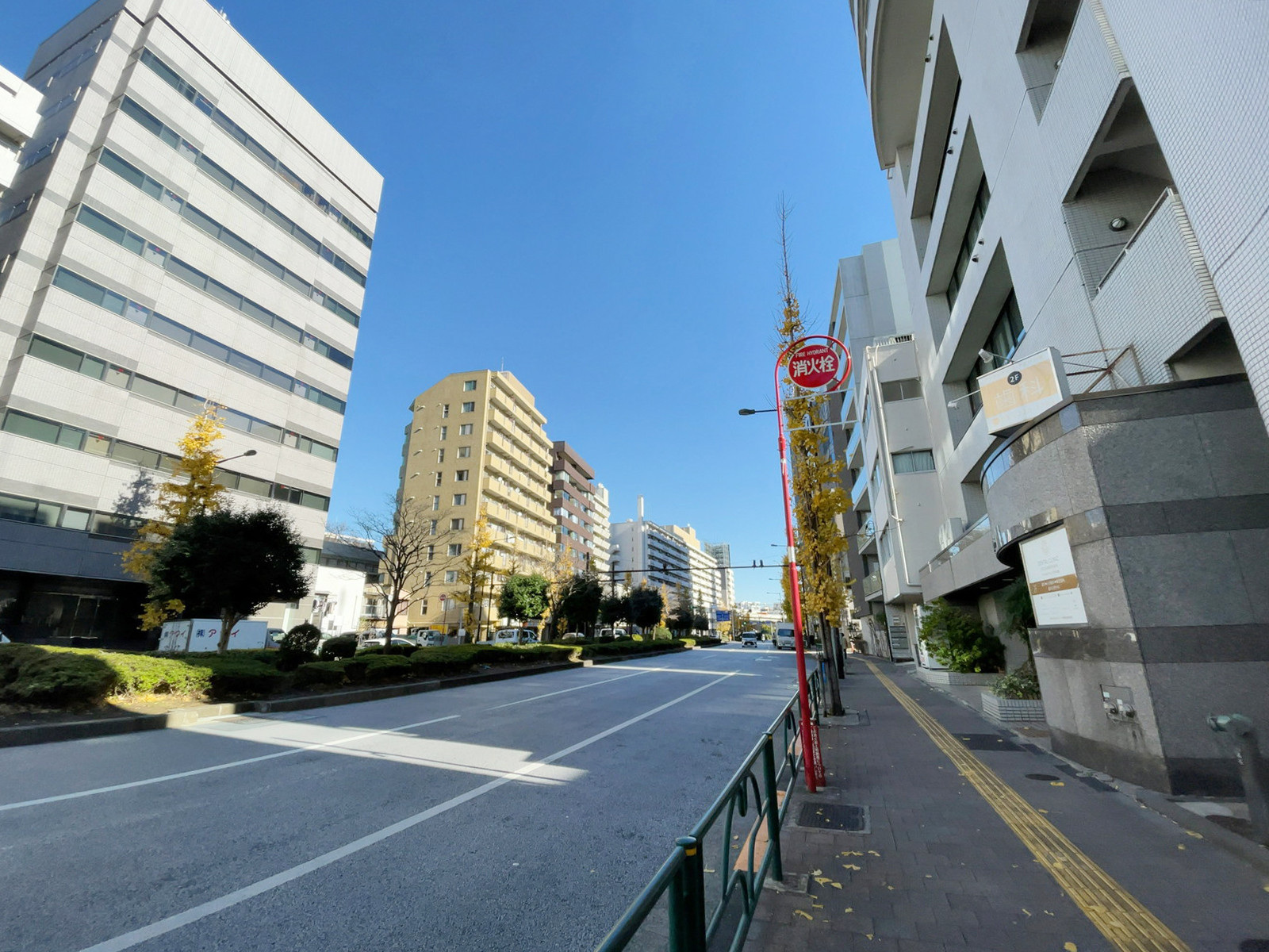 関口ビル前面の通り