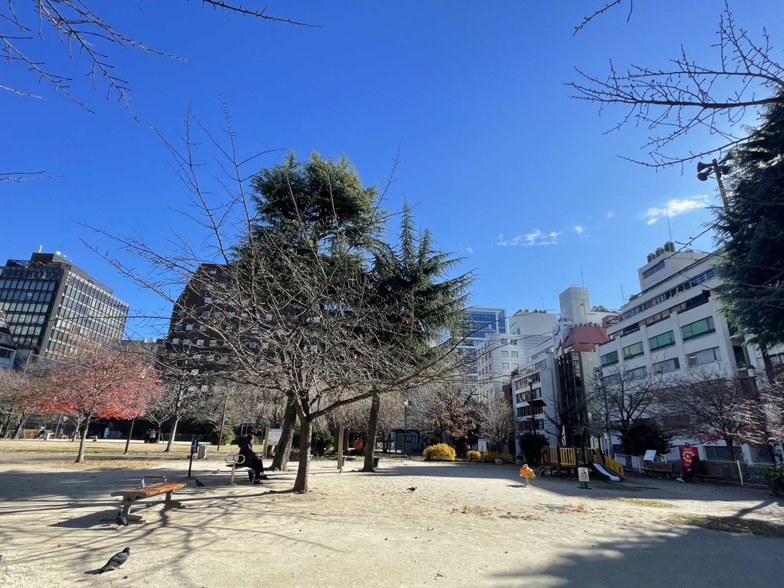 付近の南桜公園