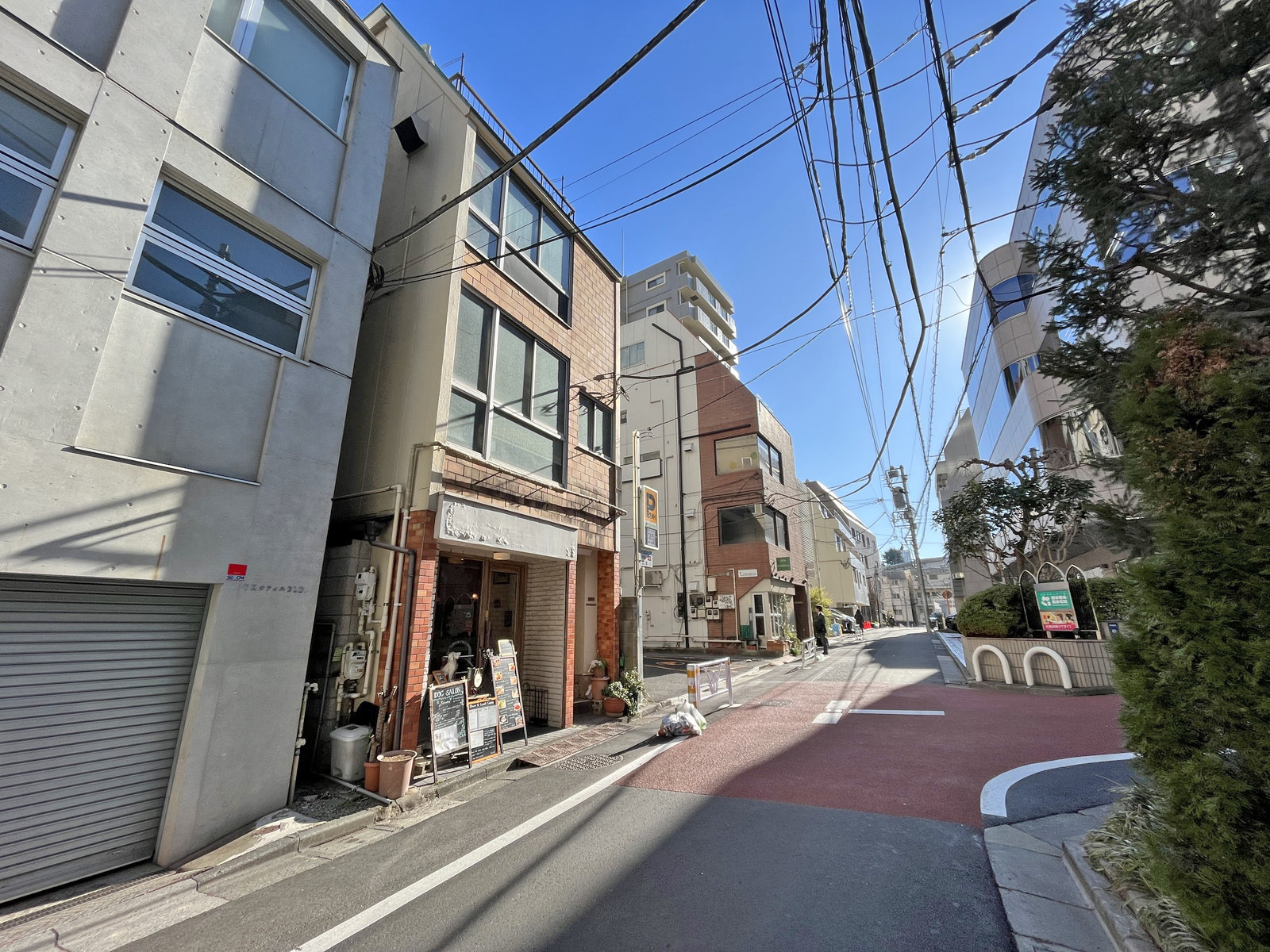 渋谷桜丘ビル前面通り