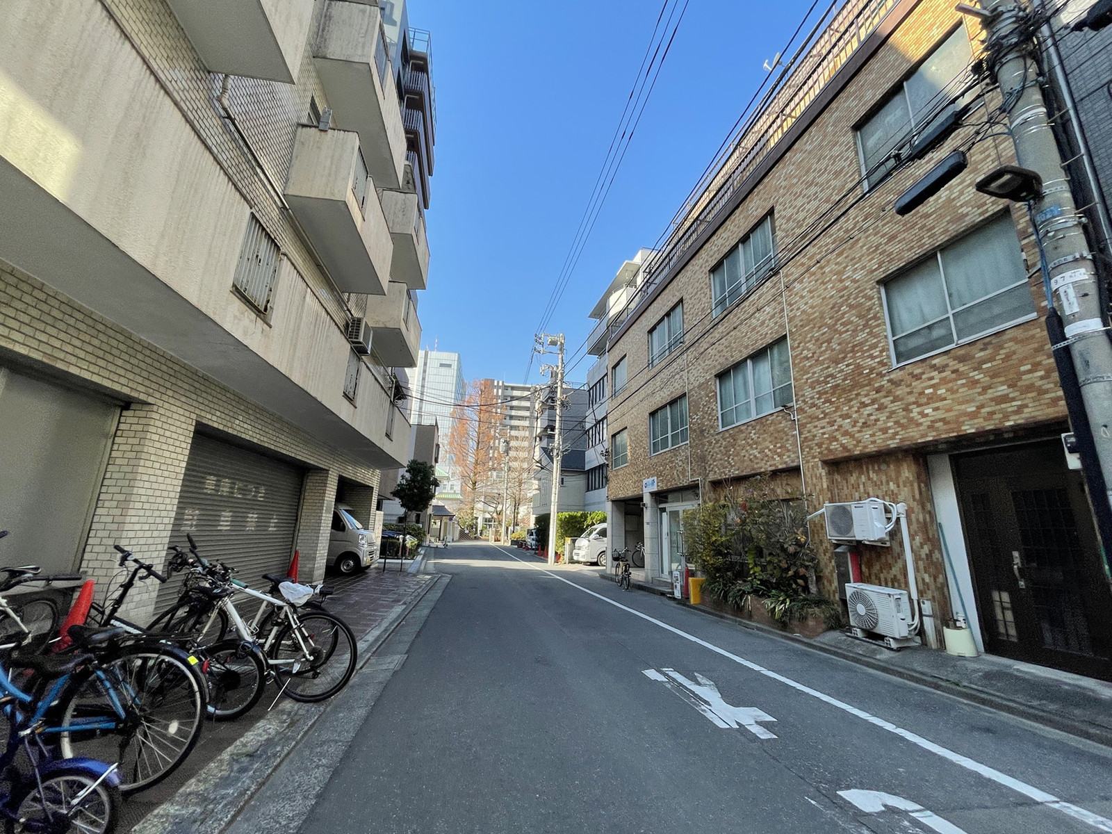 芝蘭会館前面の通り