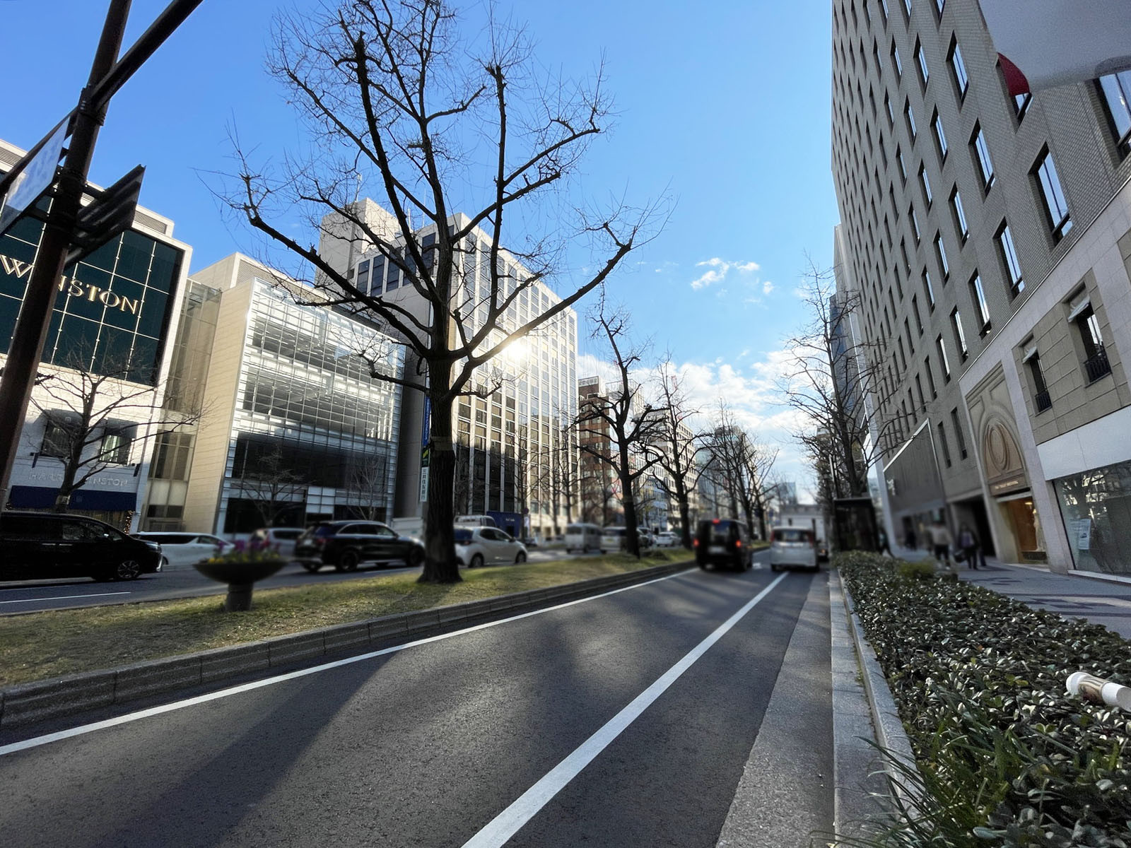 日本生命御堂筋ビル前面の通り