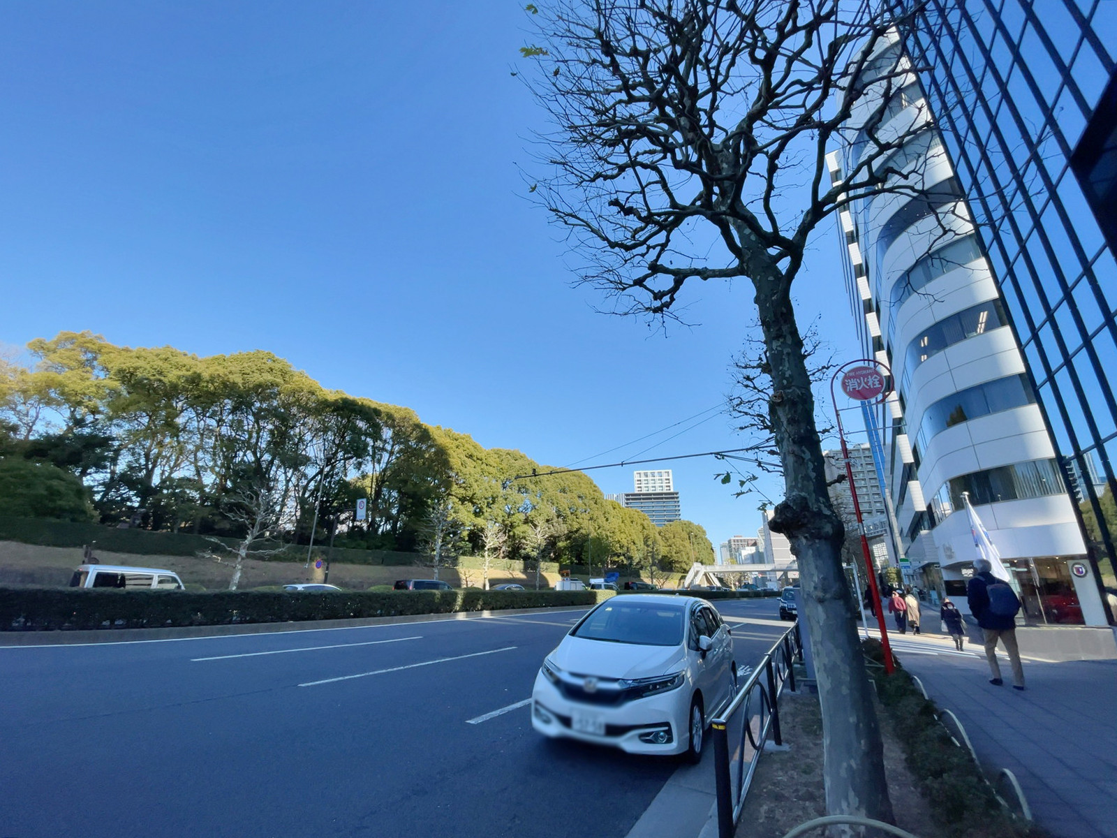 草月会館前面の青山通り