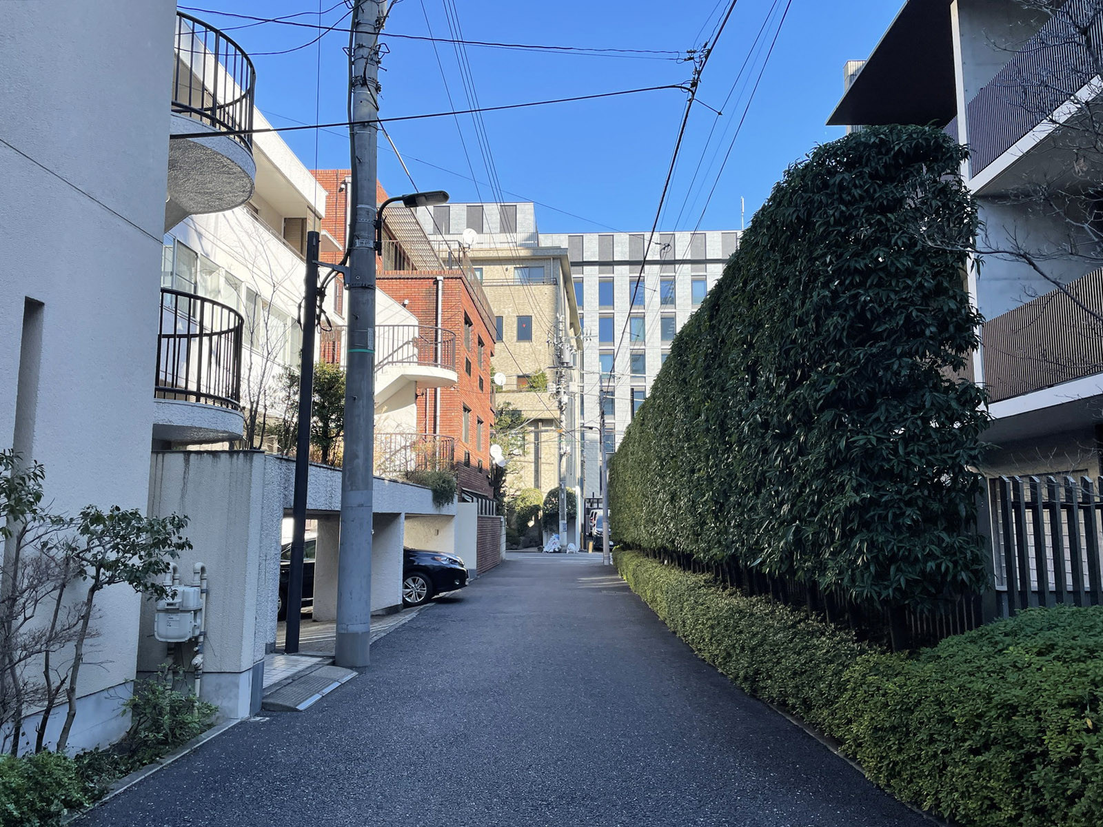 千代田区二番町ビル前面の通り