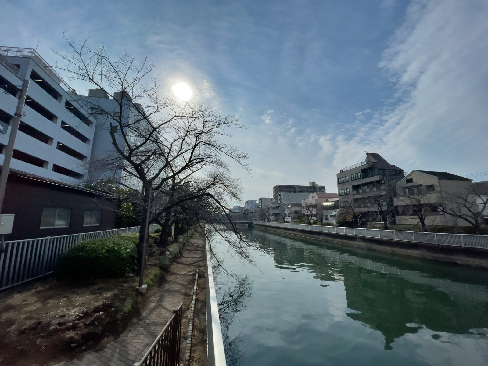 ビル裏の大横川