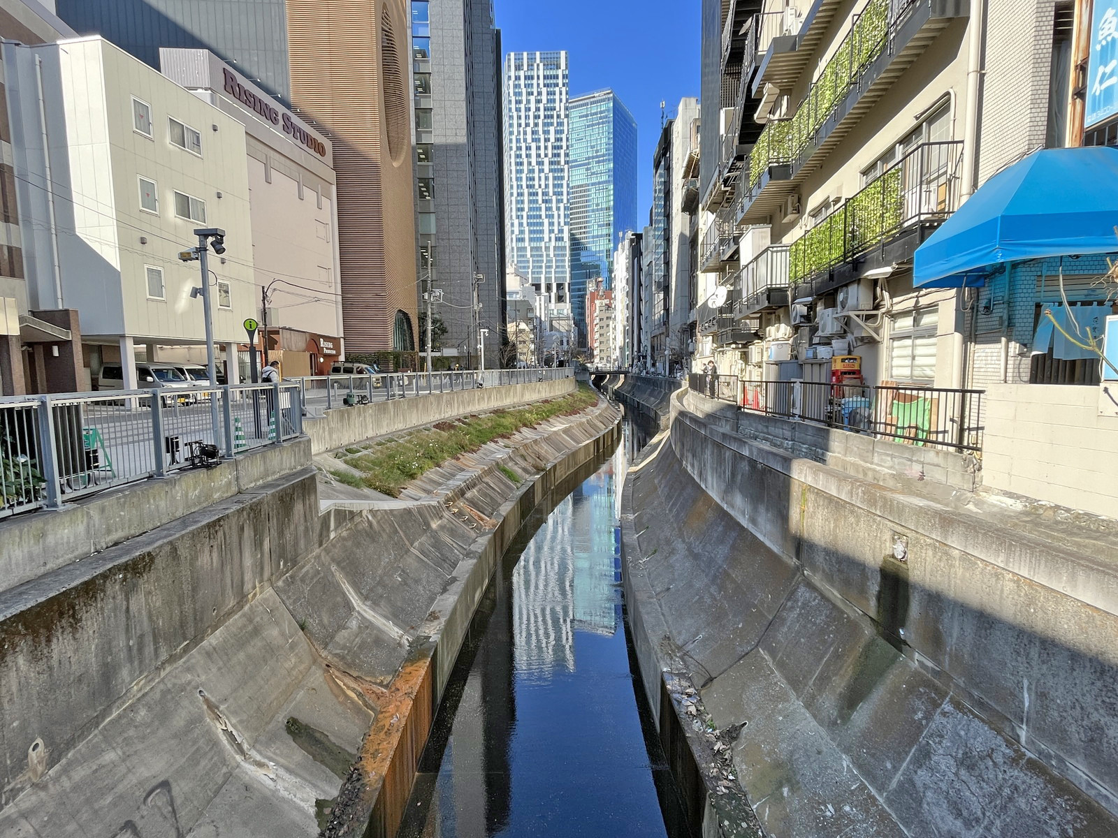 裏手を流れる渋谷川