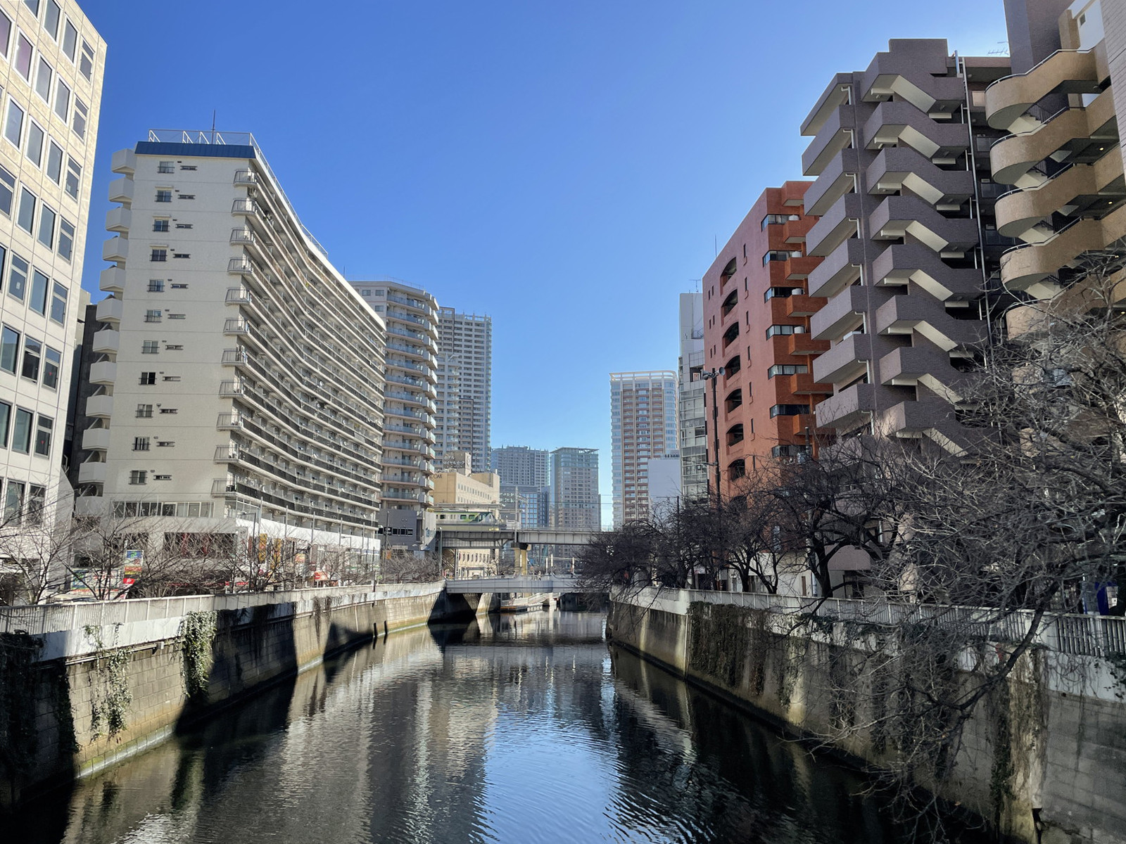 付近の目黒川