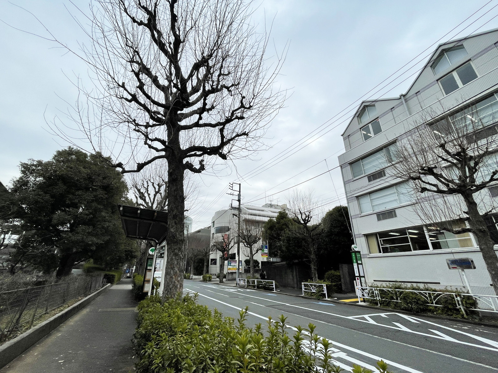 ホアリーナビル前面の通り