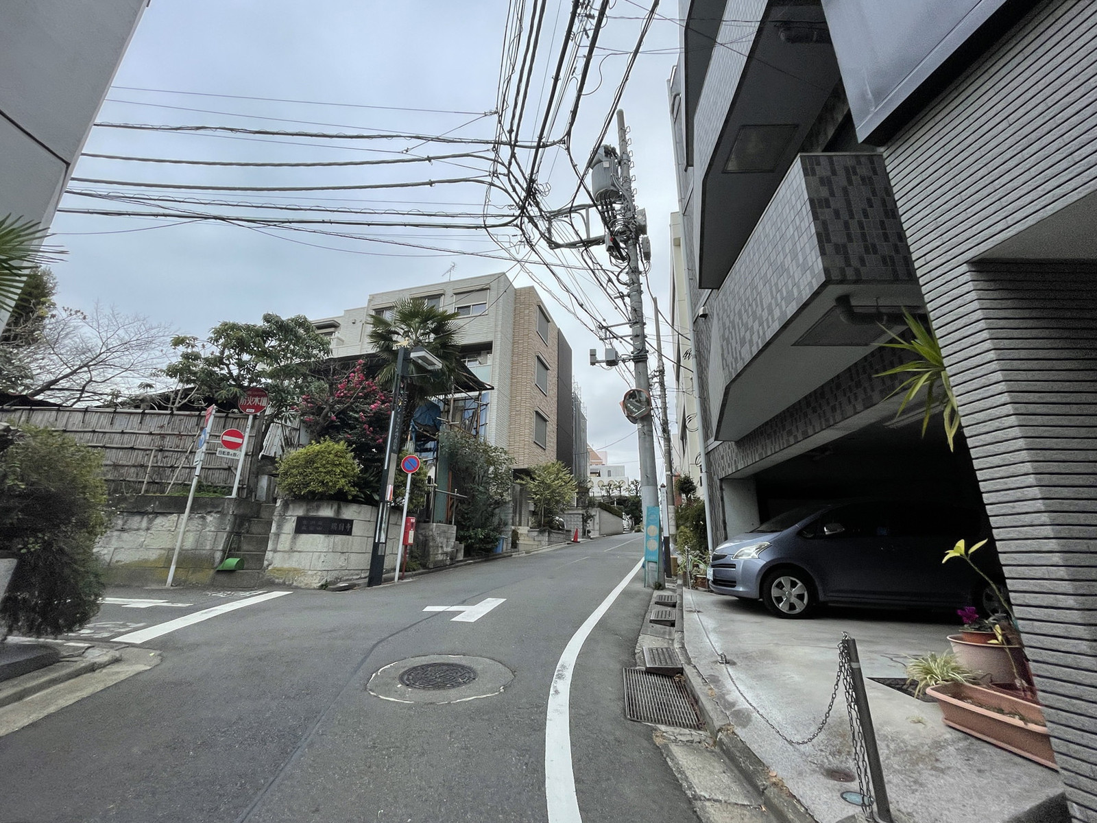 TERRACE SITE 神宮外苑前面の通り