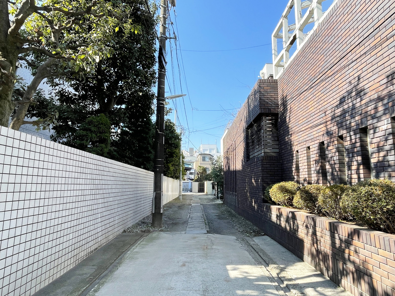The Room 四谷大京町前面の通り