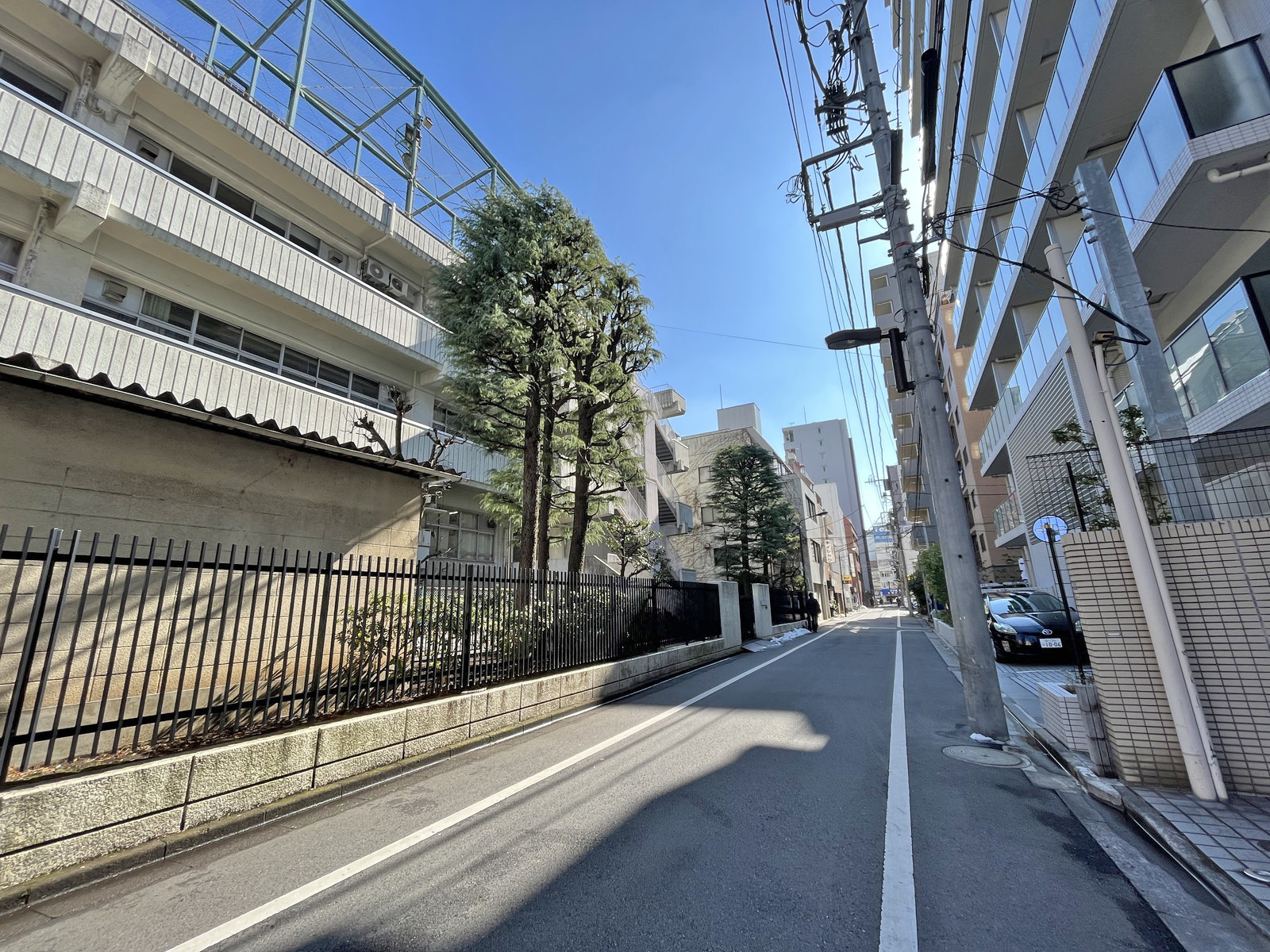 マツダビル前面通り