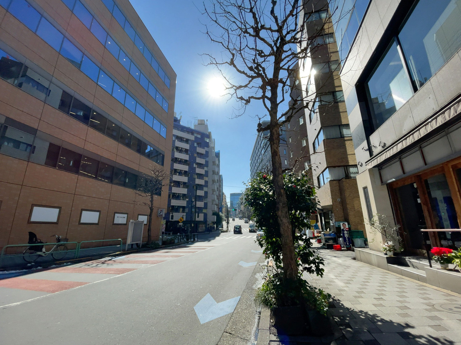 相模屋本社ビル前面の通り