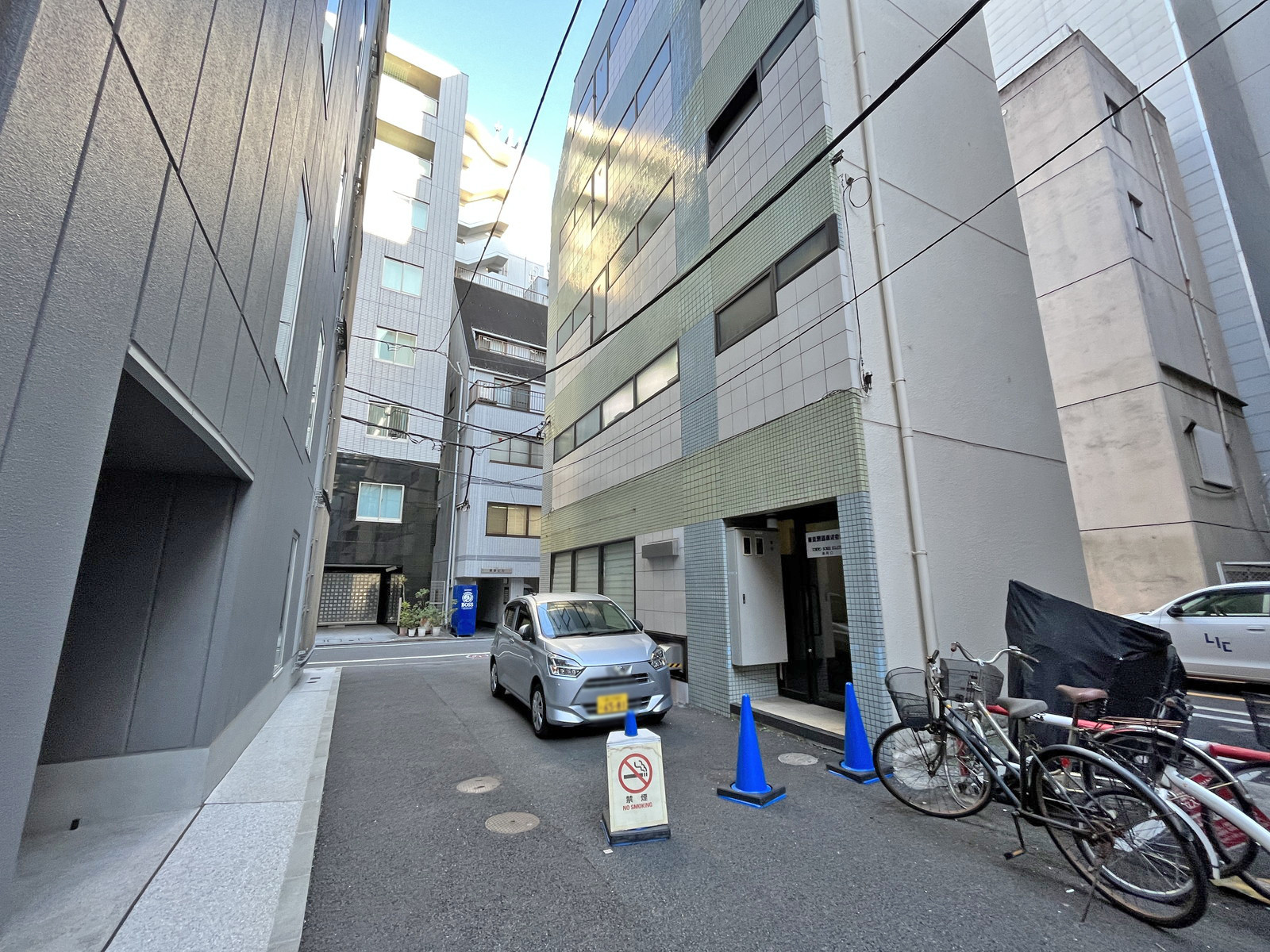 メスダビル前面通り