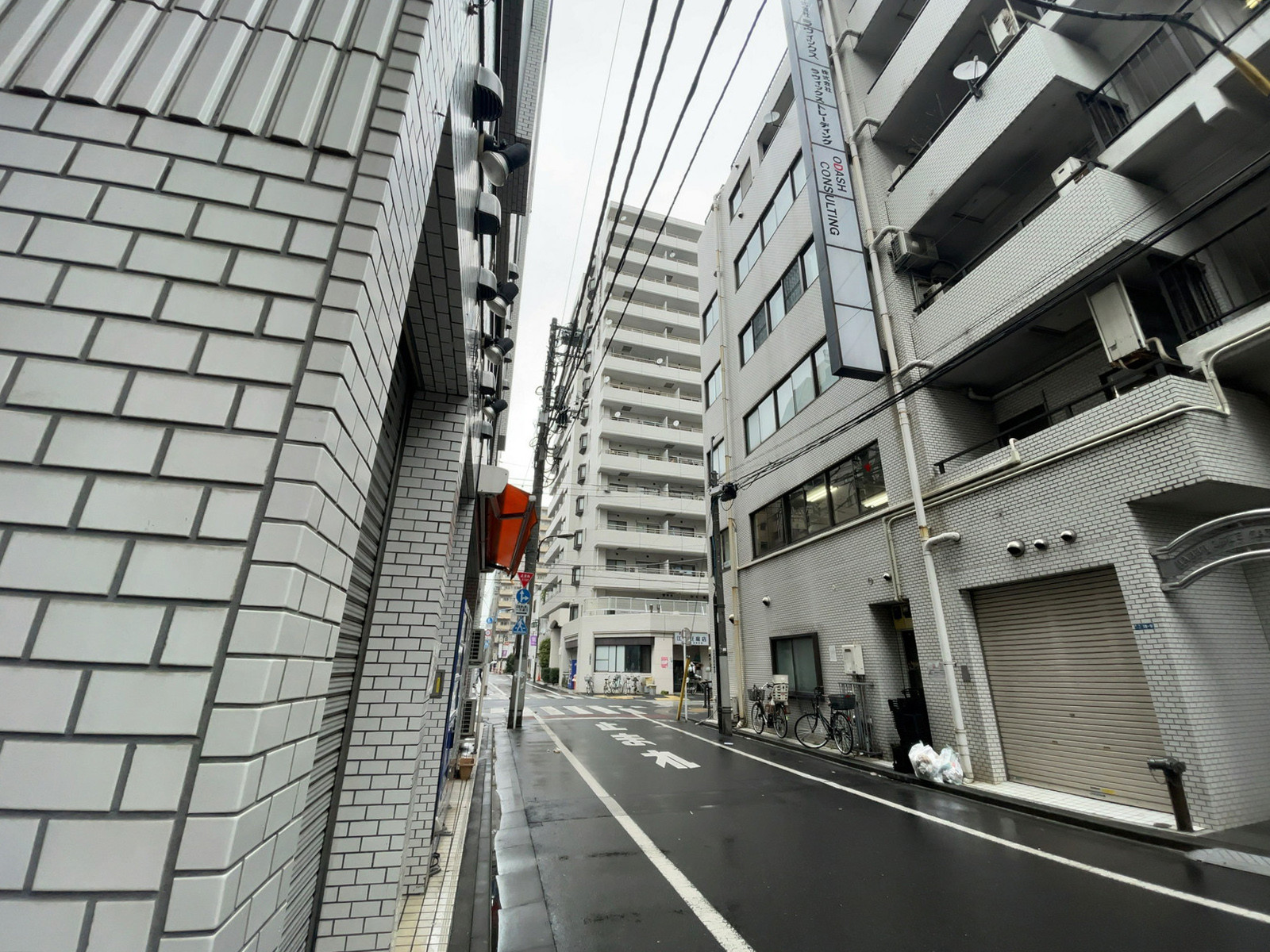 コスモス御苑／カテリーナネオハイツ前面の通り