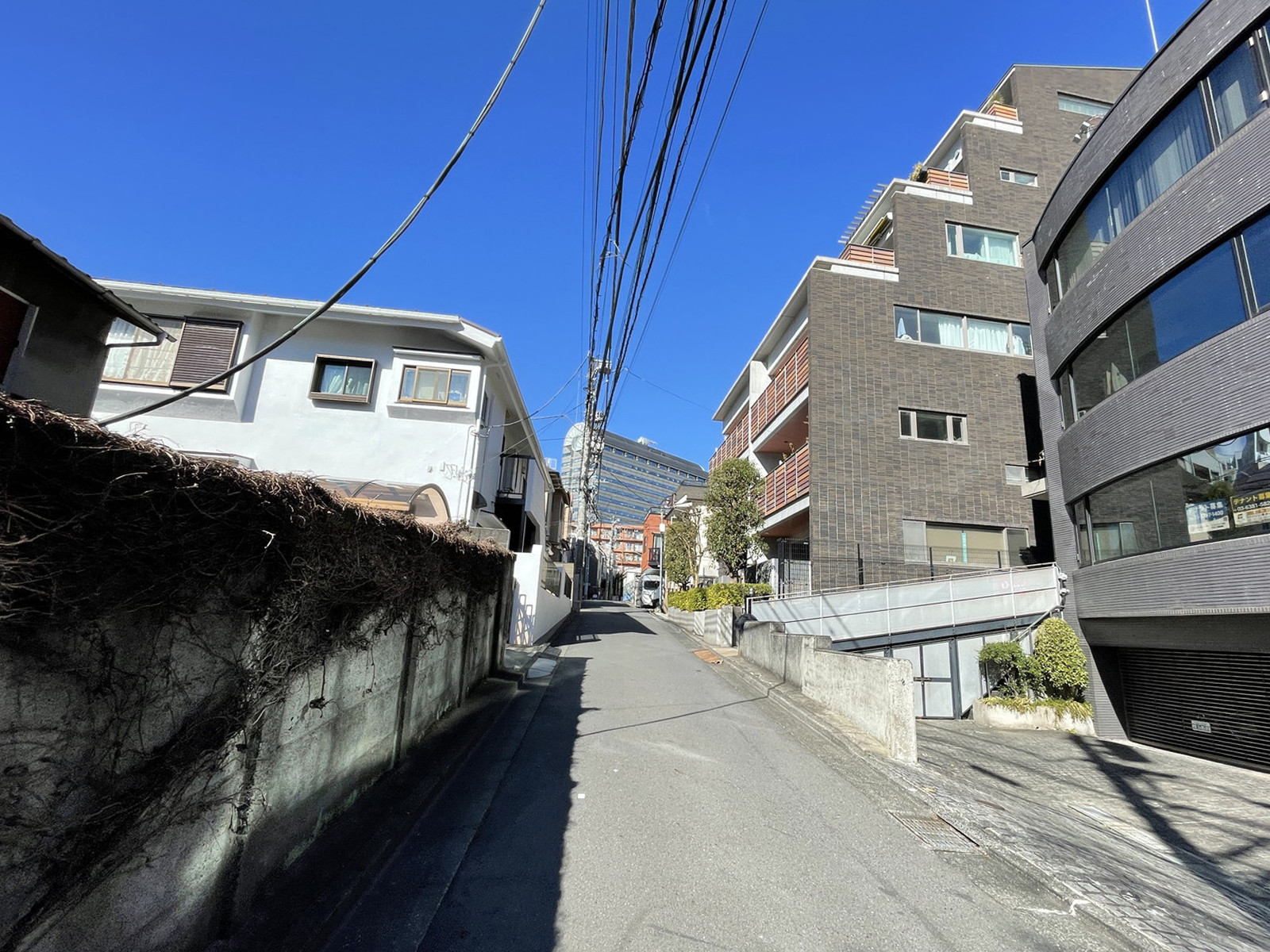 ダイナックスビル前面の通り