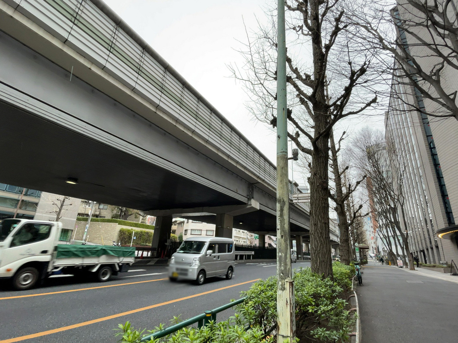 コラム南青山前面の通り