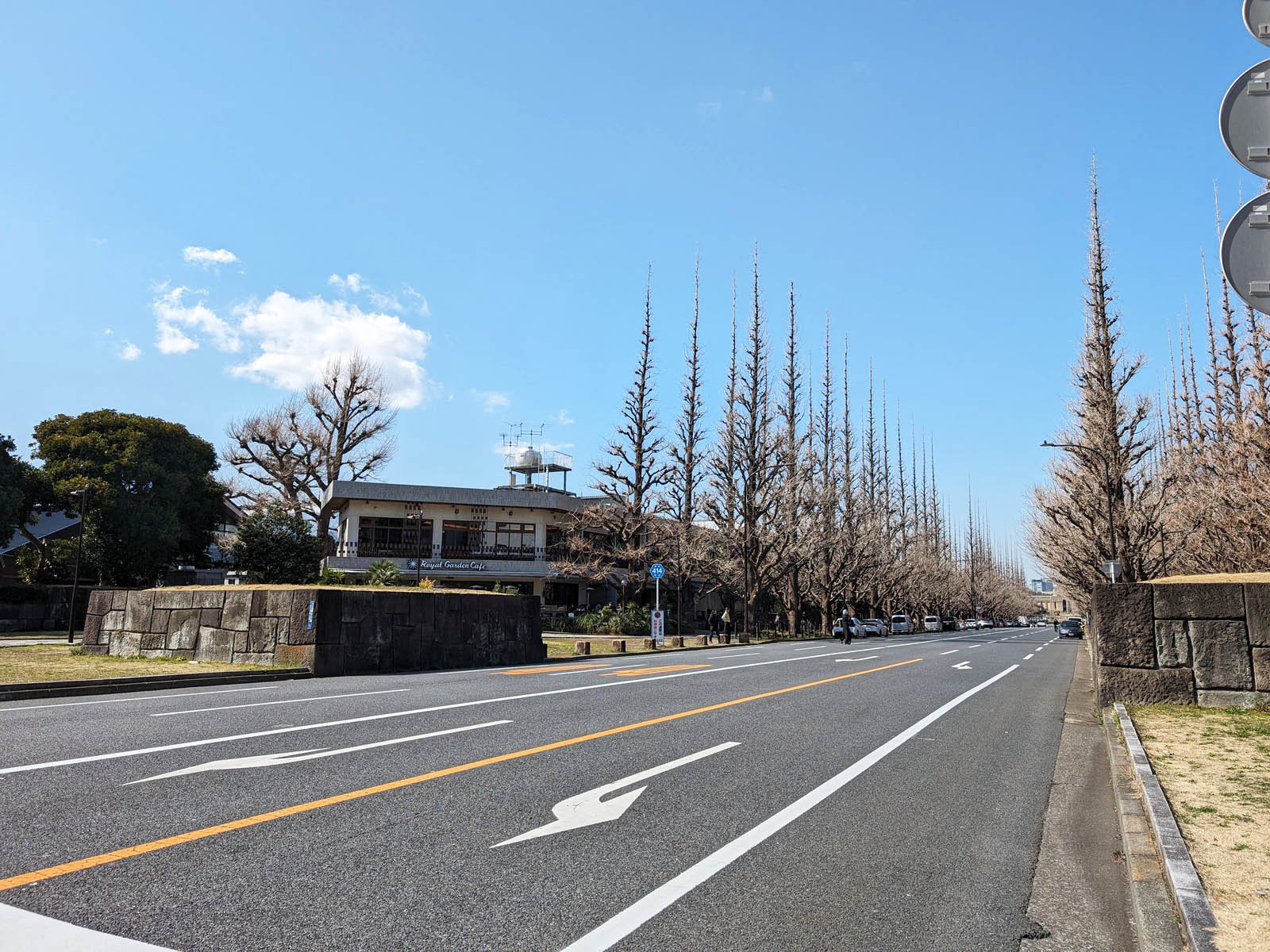付近の明治神宮外苑いちょう並木