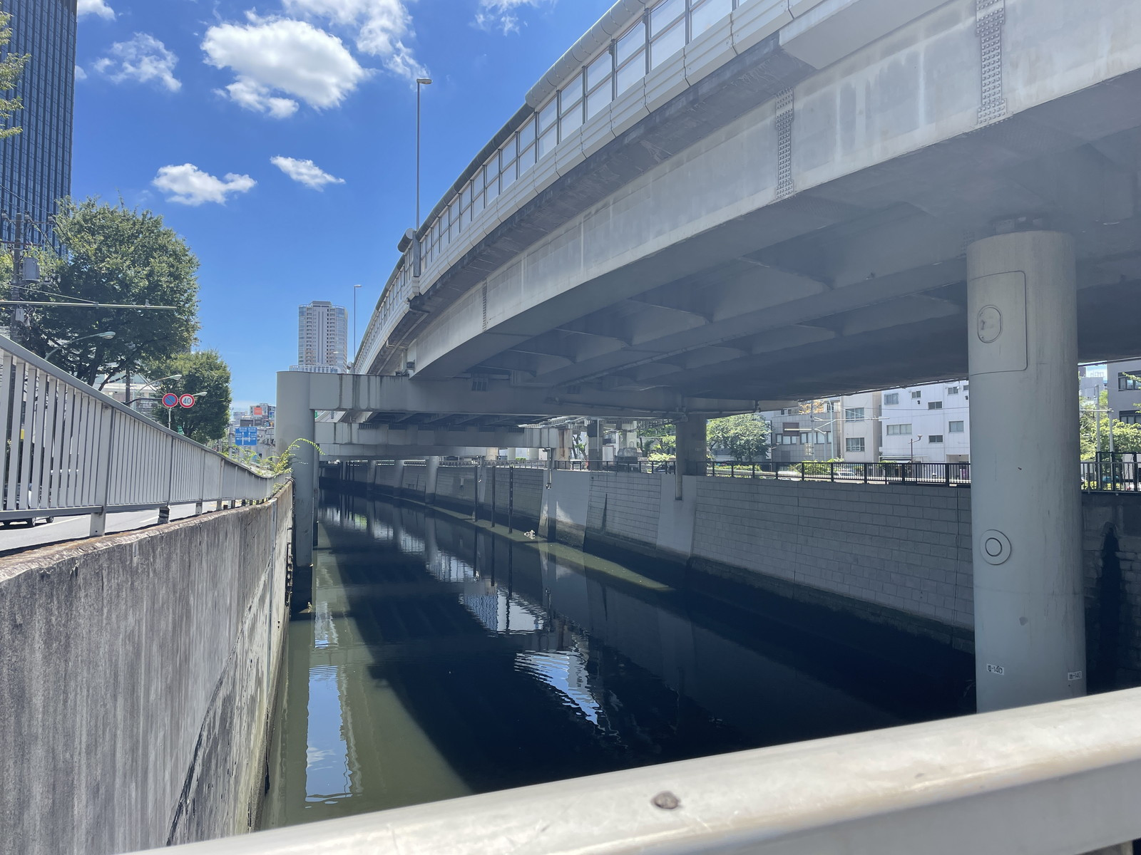 付近の神田川