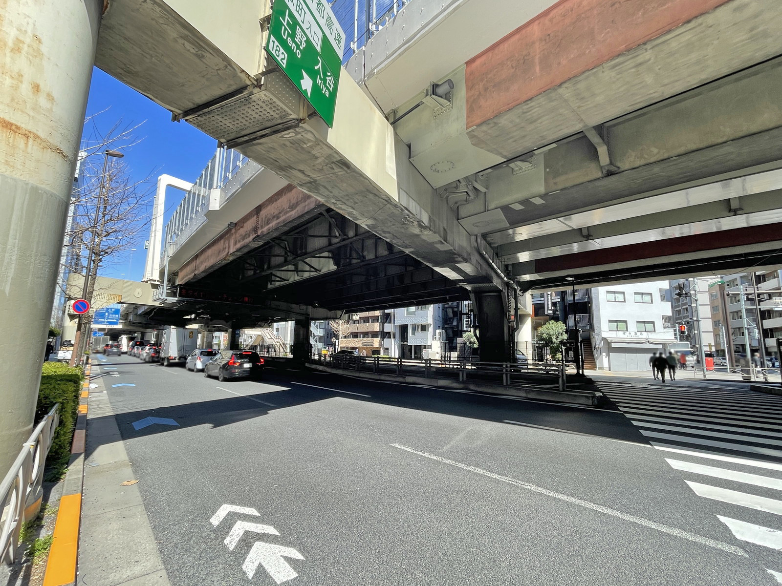 付近の昭和通り