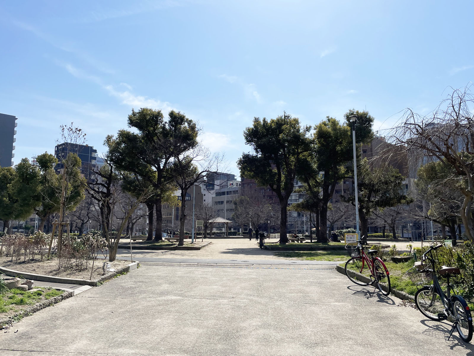 近くの中大江公園