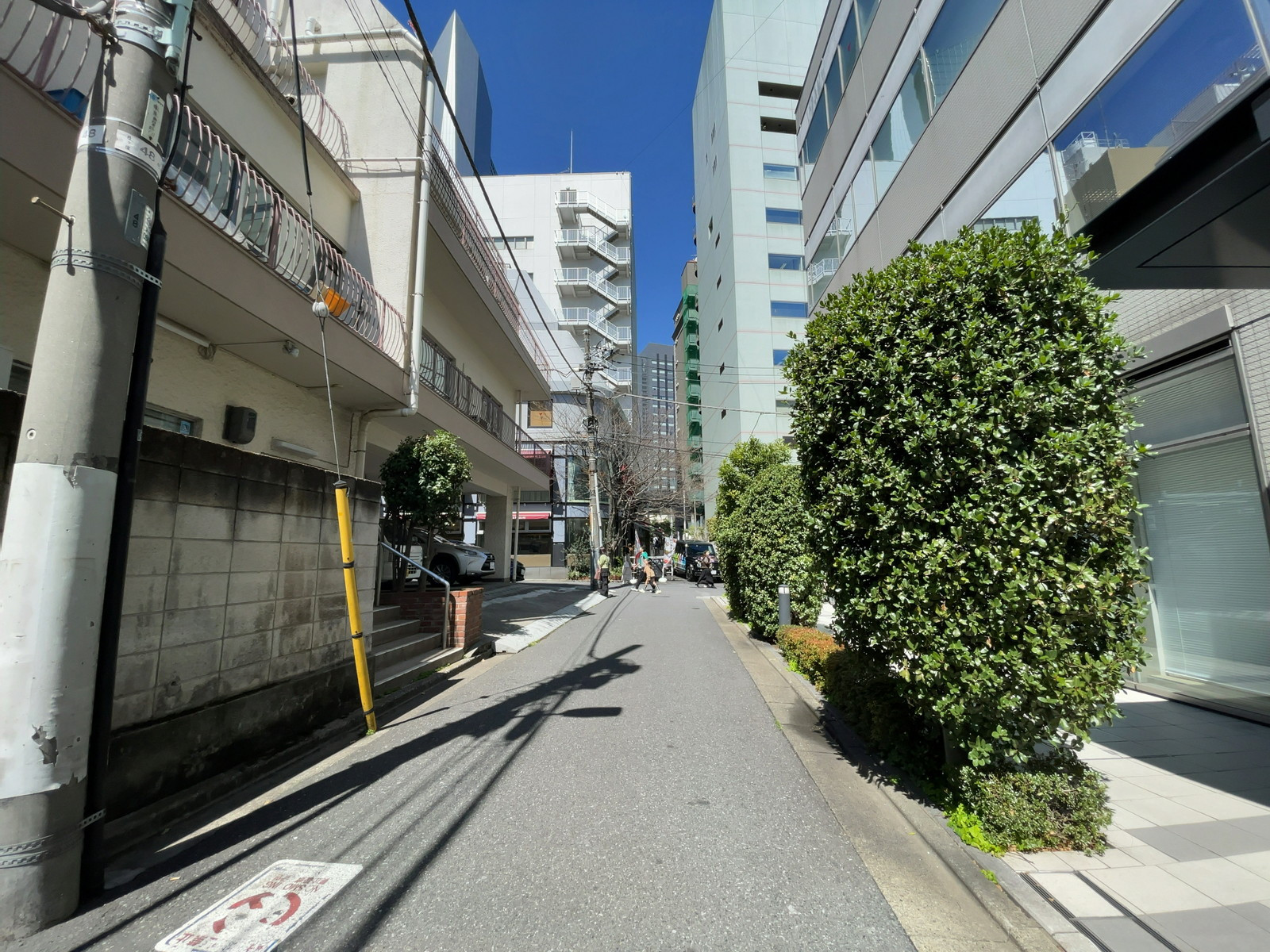 六本木アネックス前面の通り