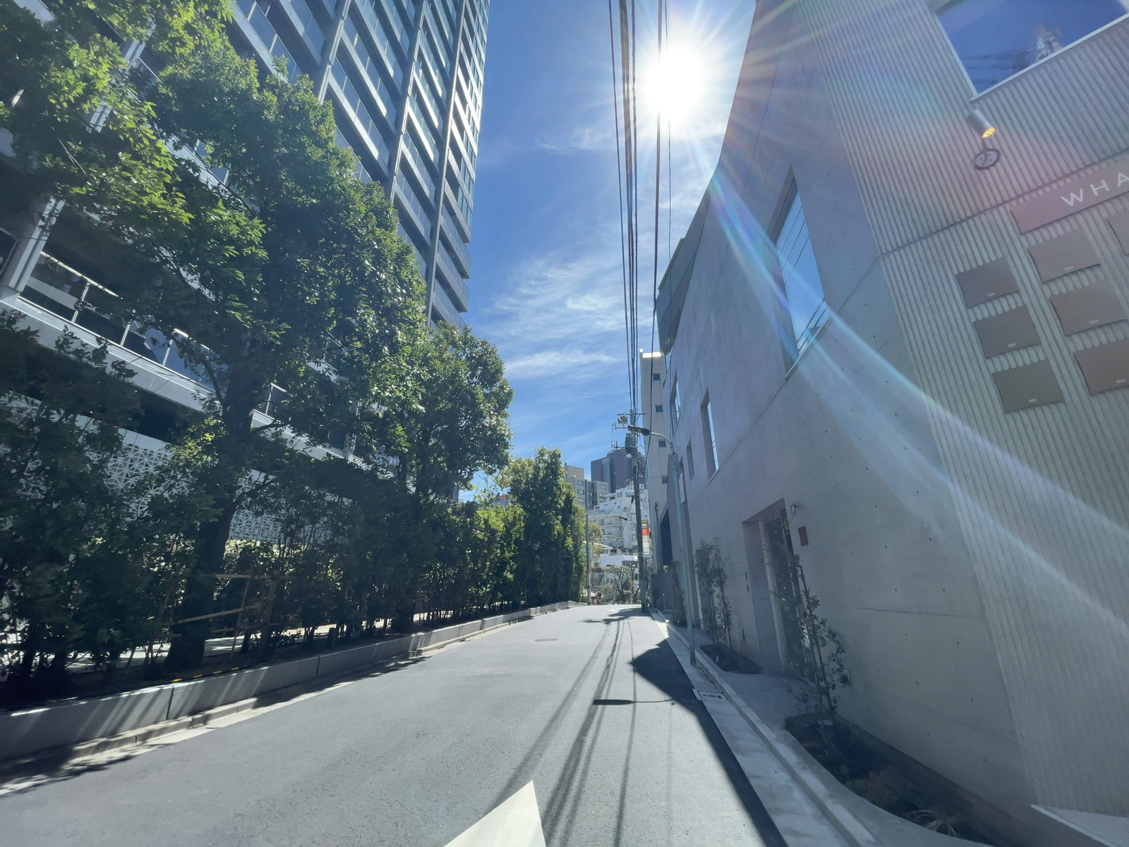 WHARF六本木前面の通り