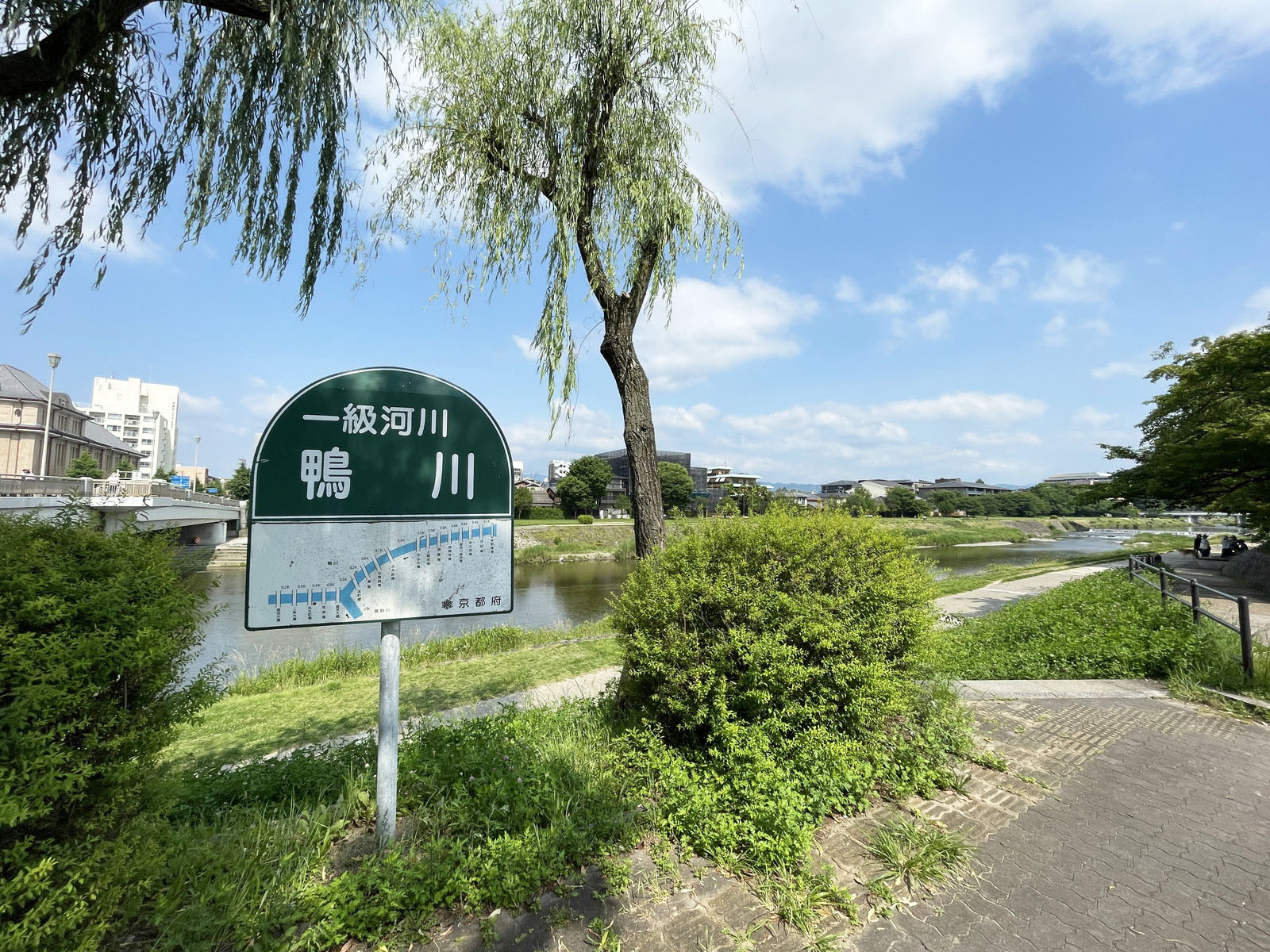 近くの鴨川