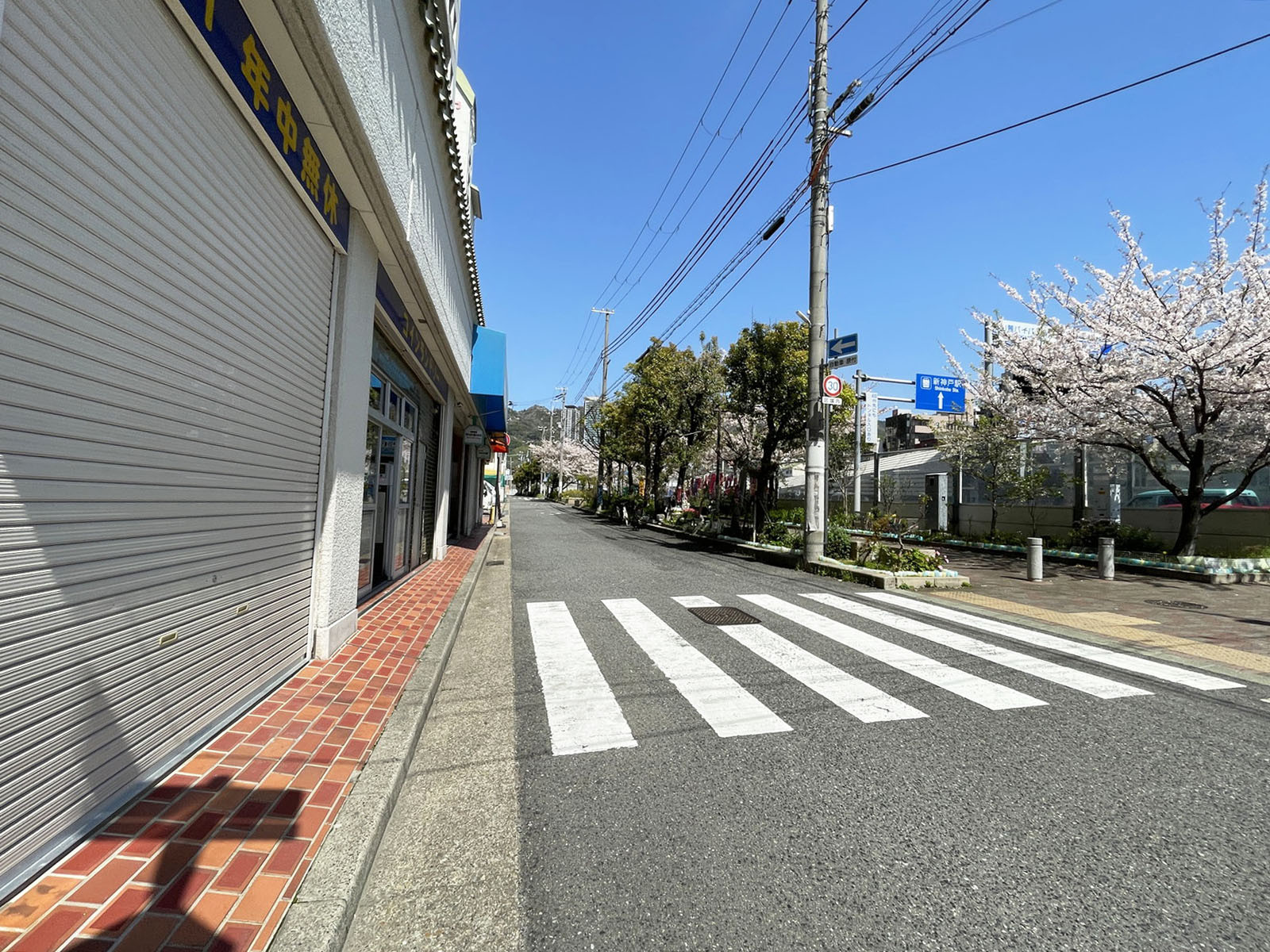 ツイン雲井FLEX21前面の通り