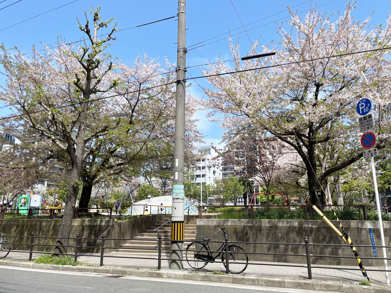 付近の中大江公園