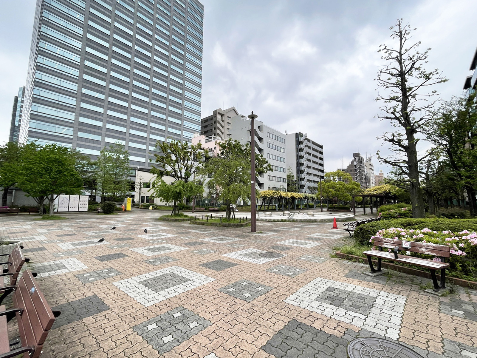 ビル裏の大横川親水公園