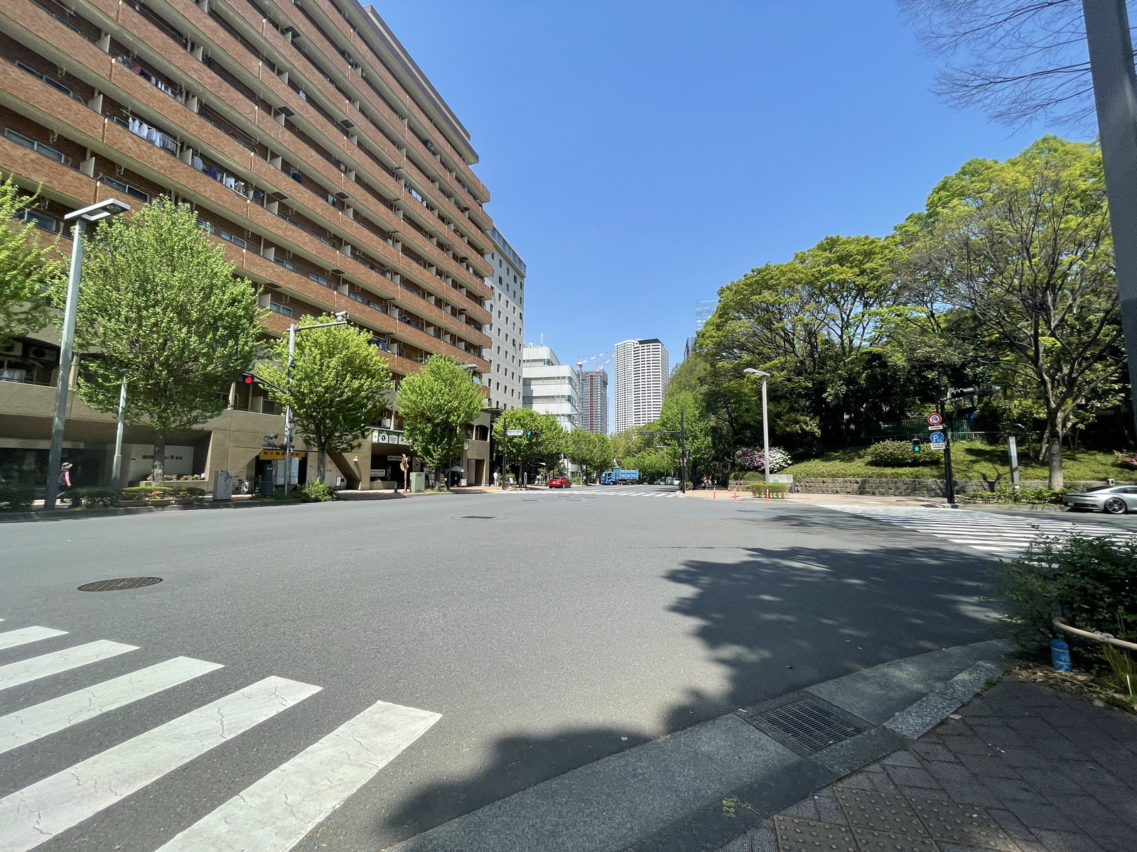 ハイネスロフティ前面の通り