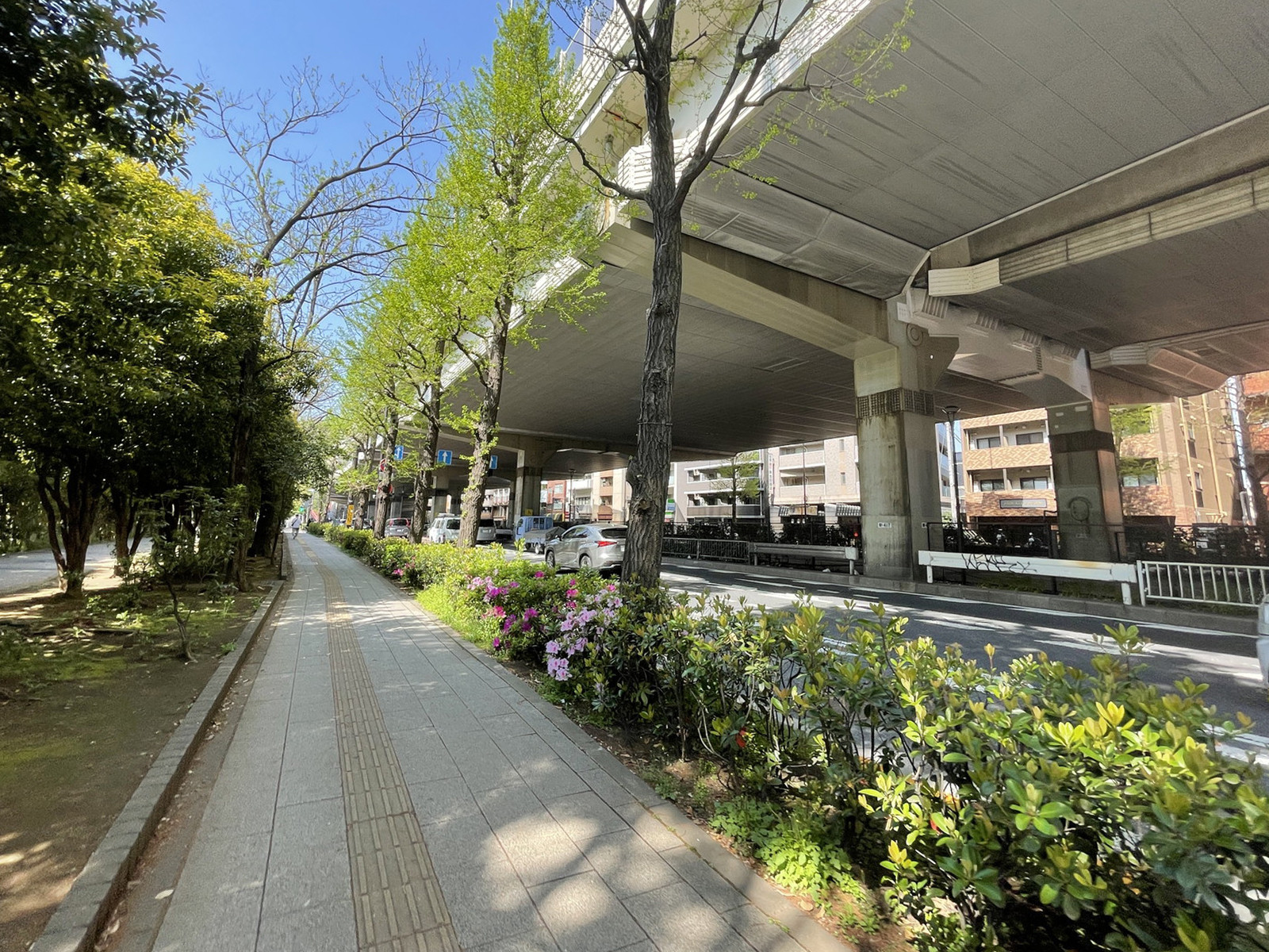 付近の甲州街道