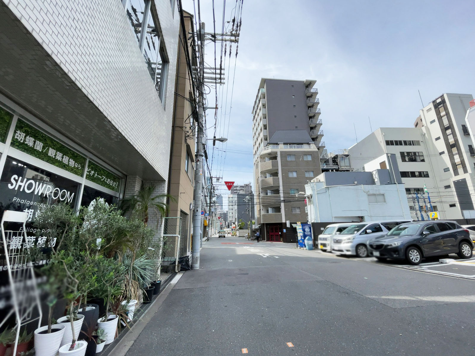 光栄ビル新館前面の通り