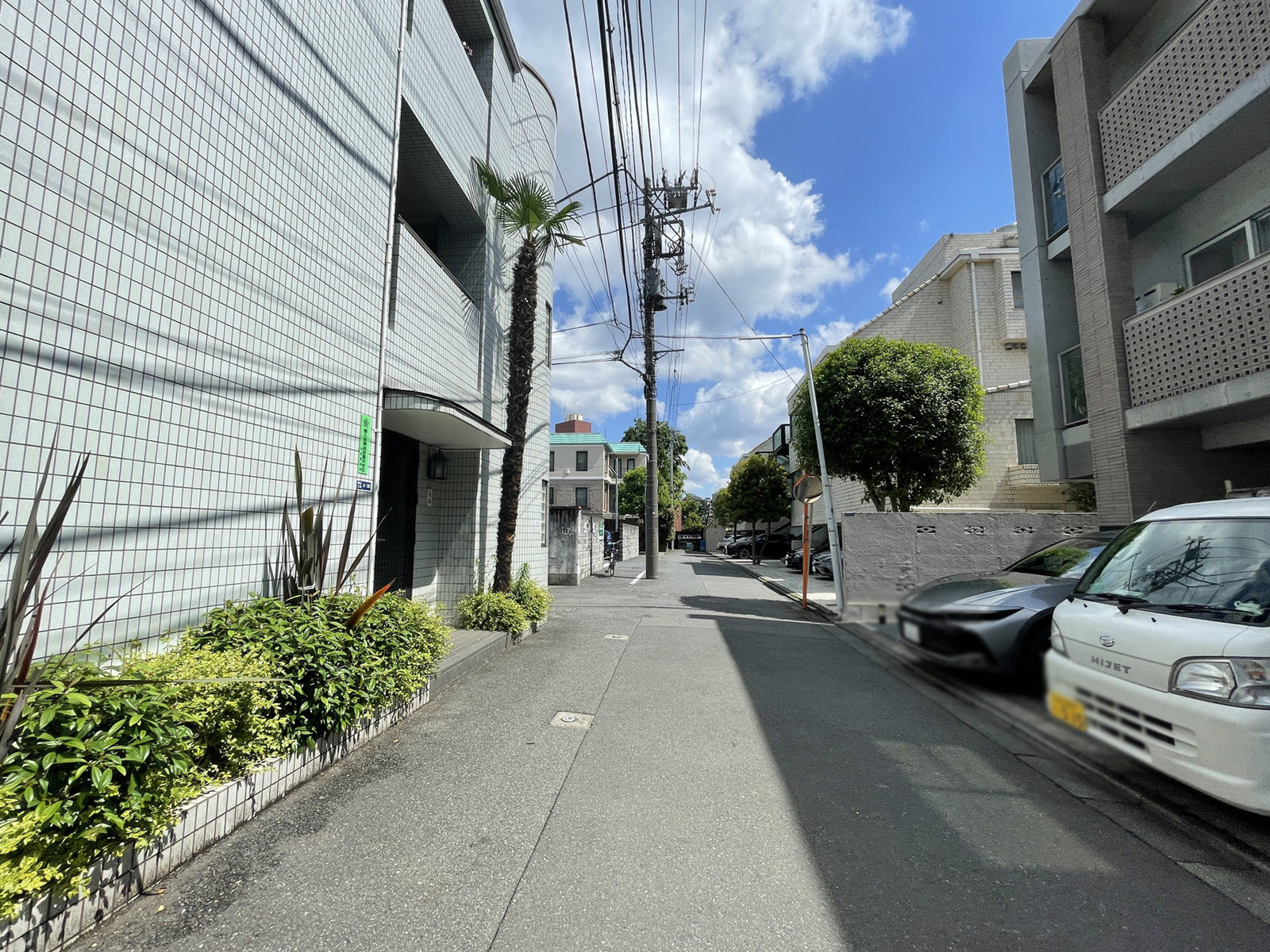 レジーナ南青山前面の通り