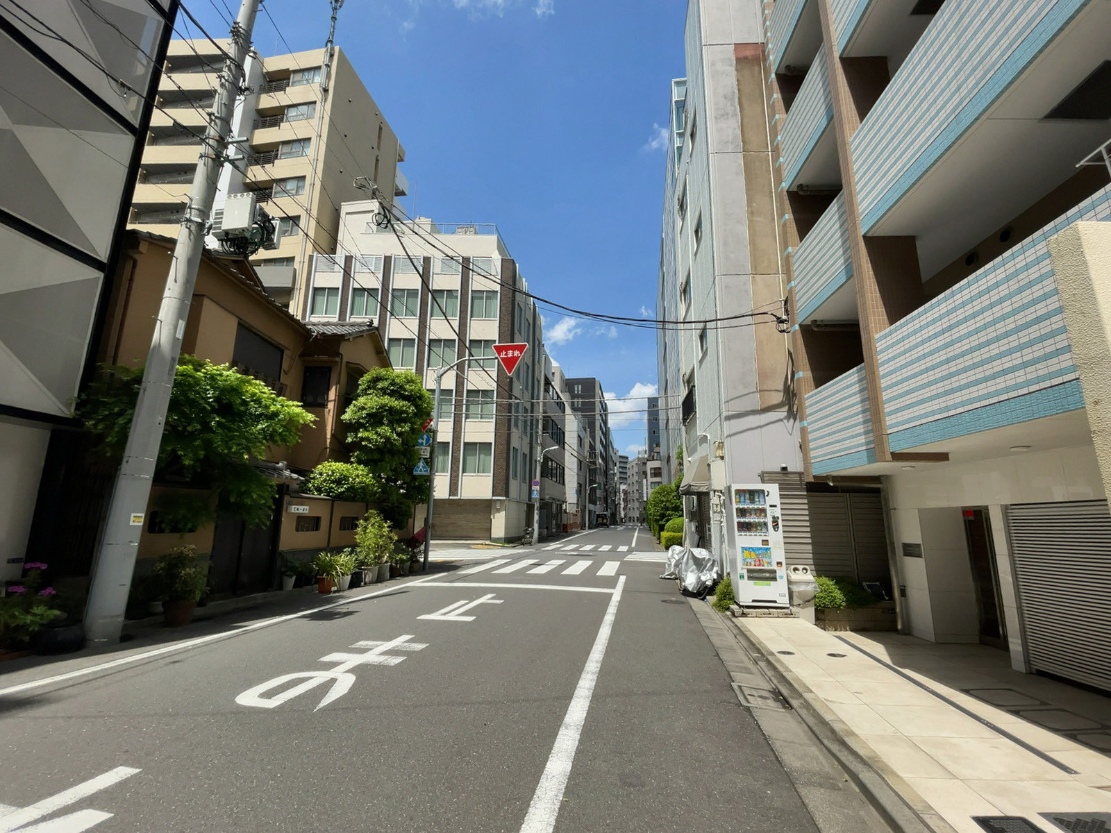 日本橋NSビル前面の通り