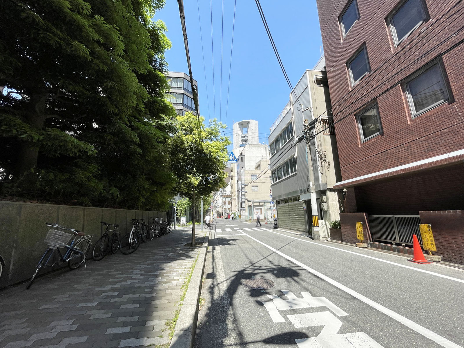 北ビル1号館前面の通り