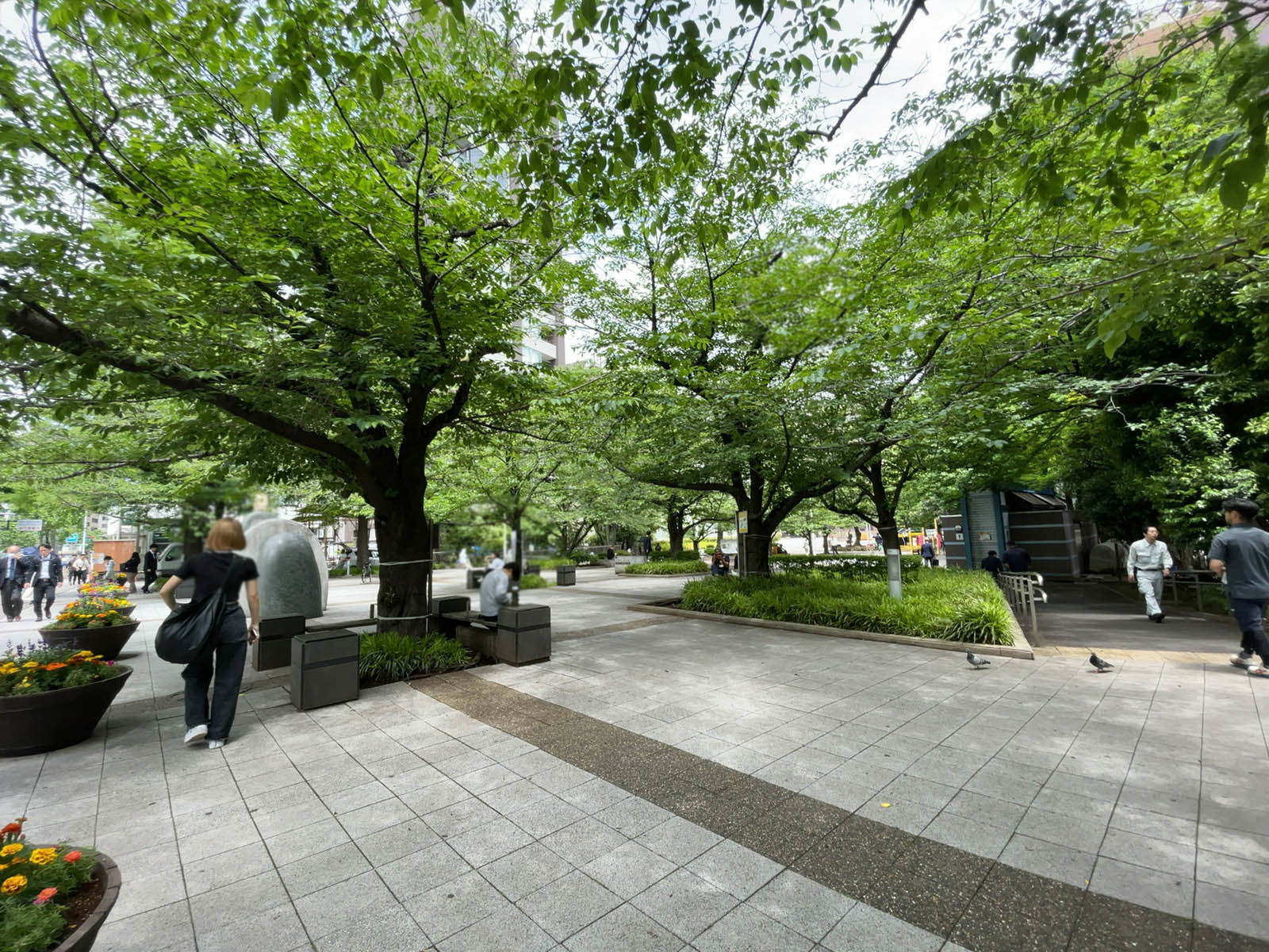 至近の中央区立桜川公園