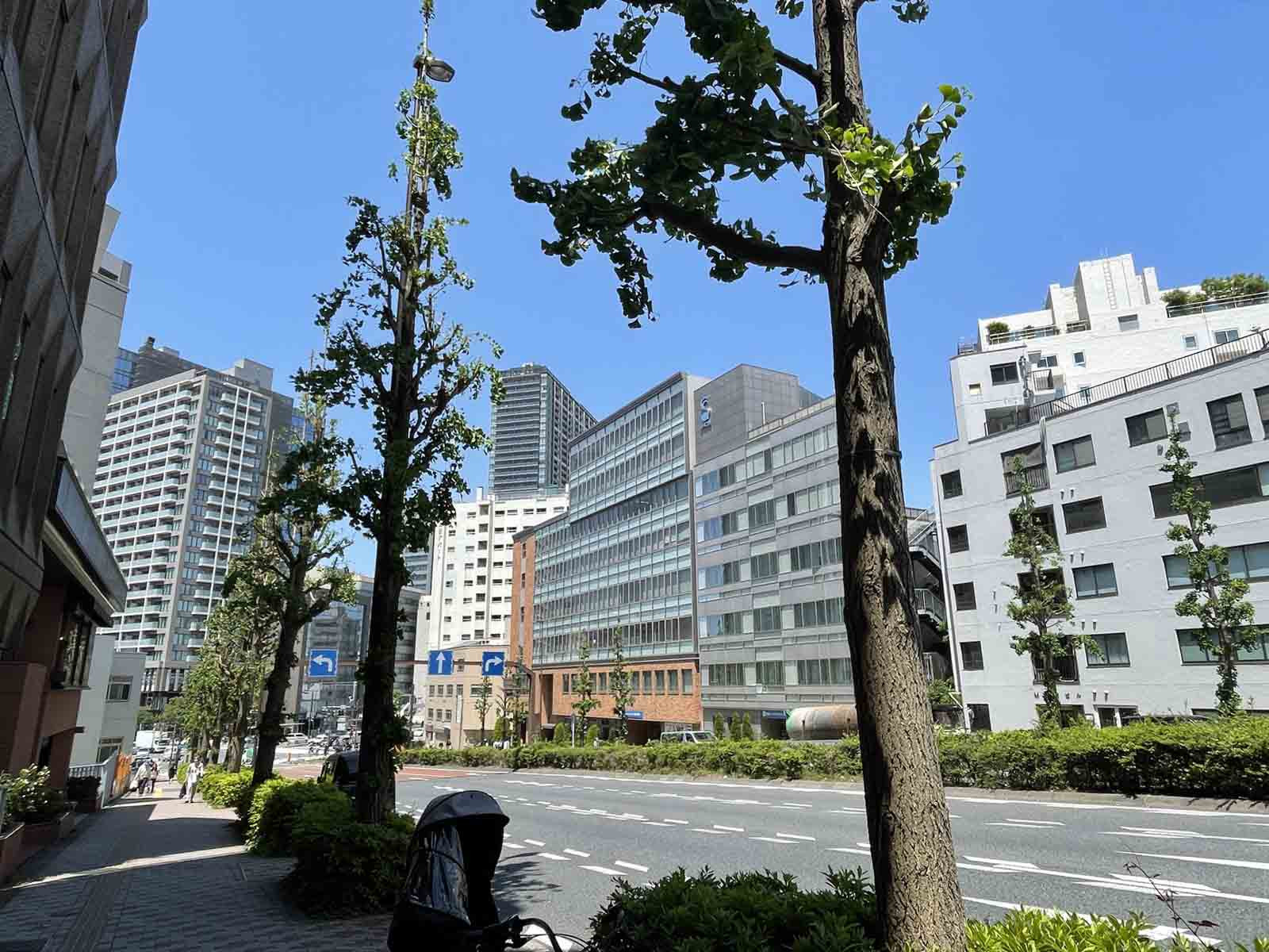 SKYTECビル前面の春日通り