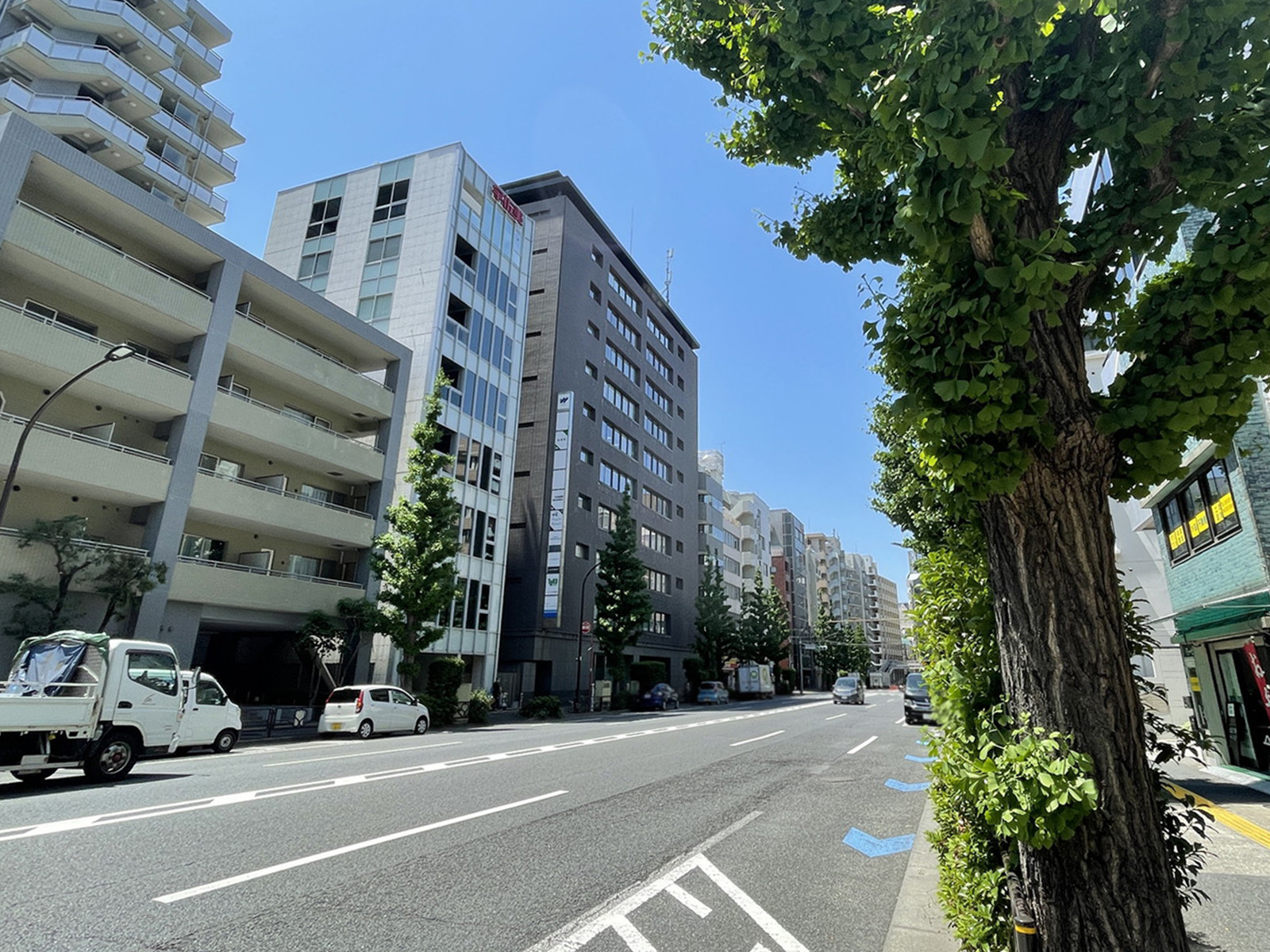 本郷ボックスツリービル前面の壱岐坂通り