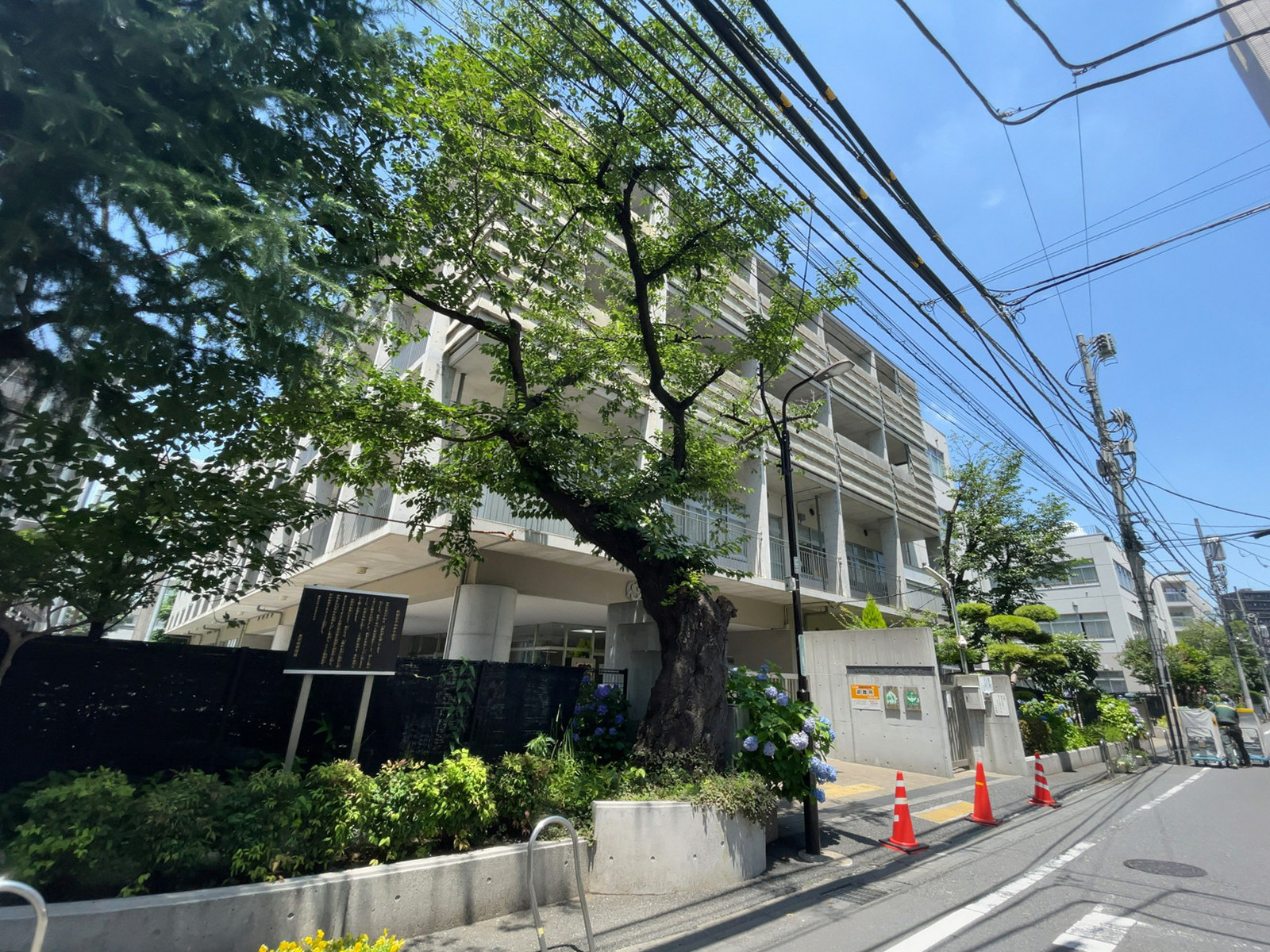 近くの新宿区立西新宿中学校