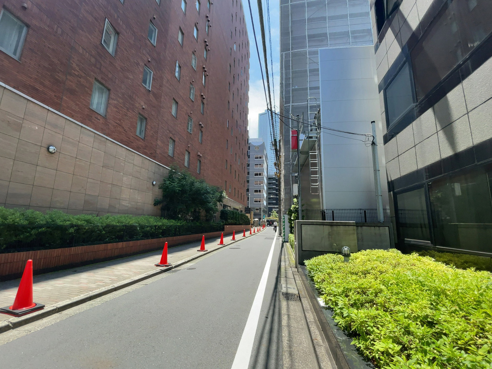 アドバンスビル前面の通り